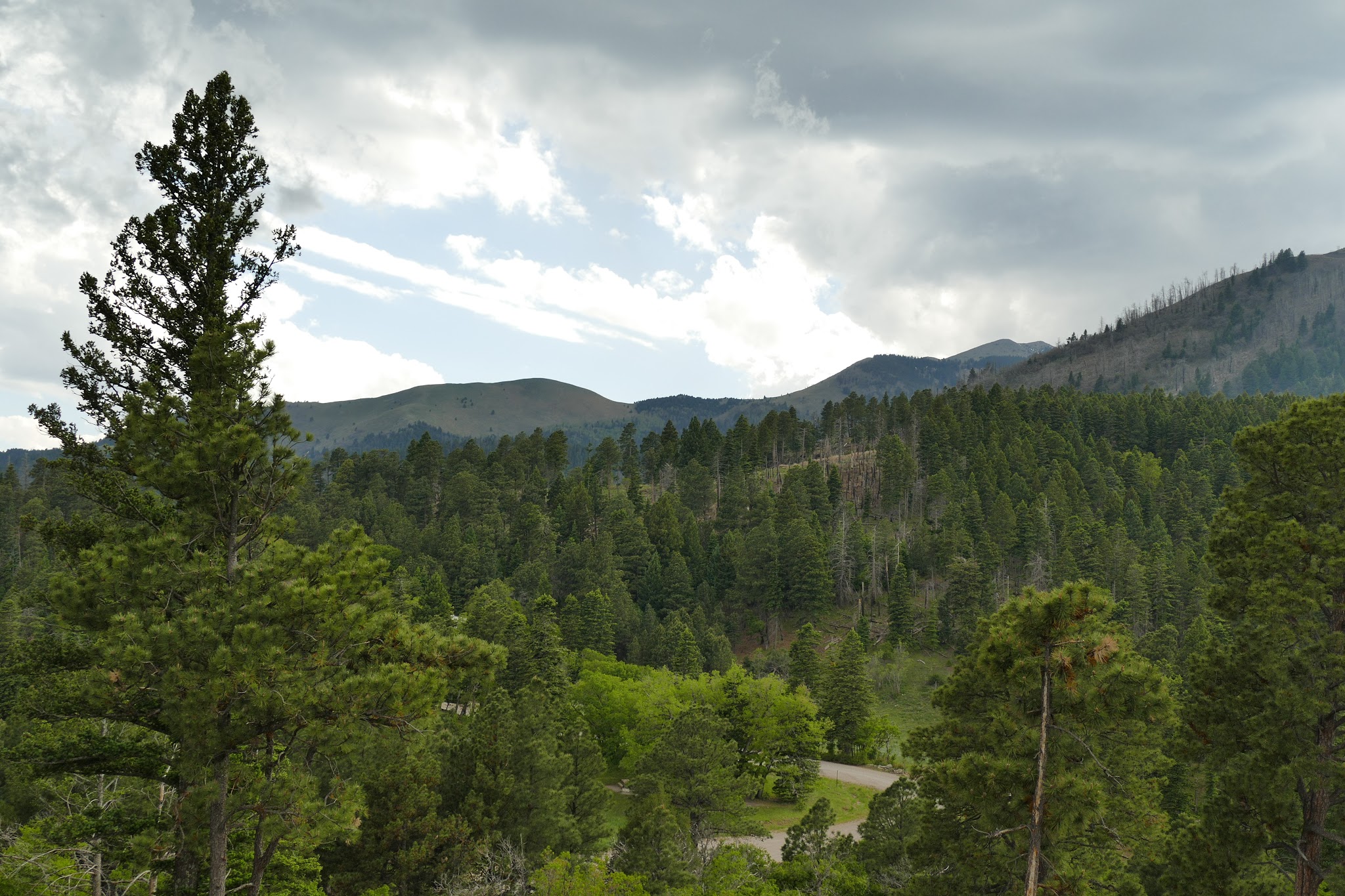 Oak Grove Campground