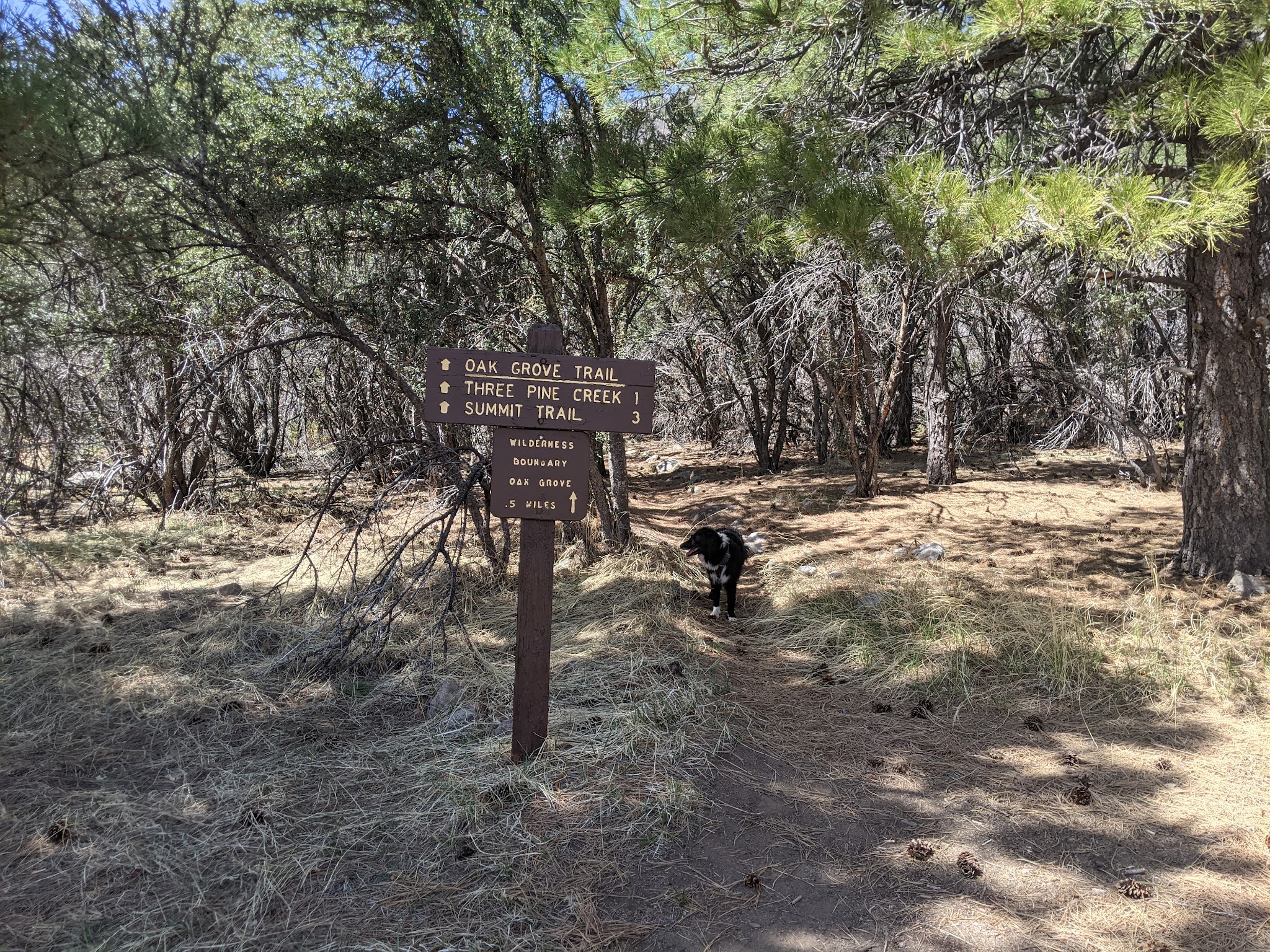 Effie Beckstrom East Group Campground