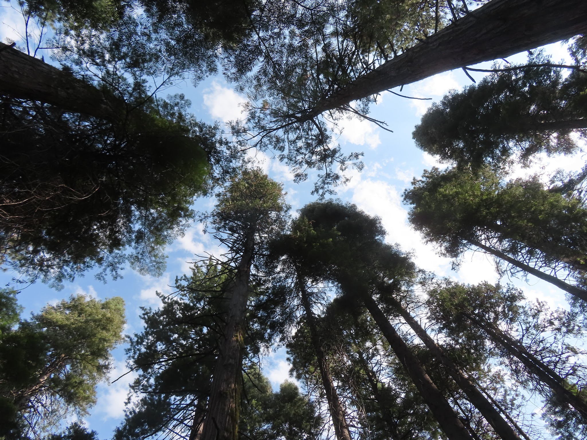 Oak Hollow Campground