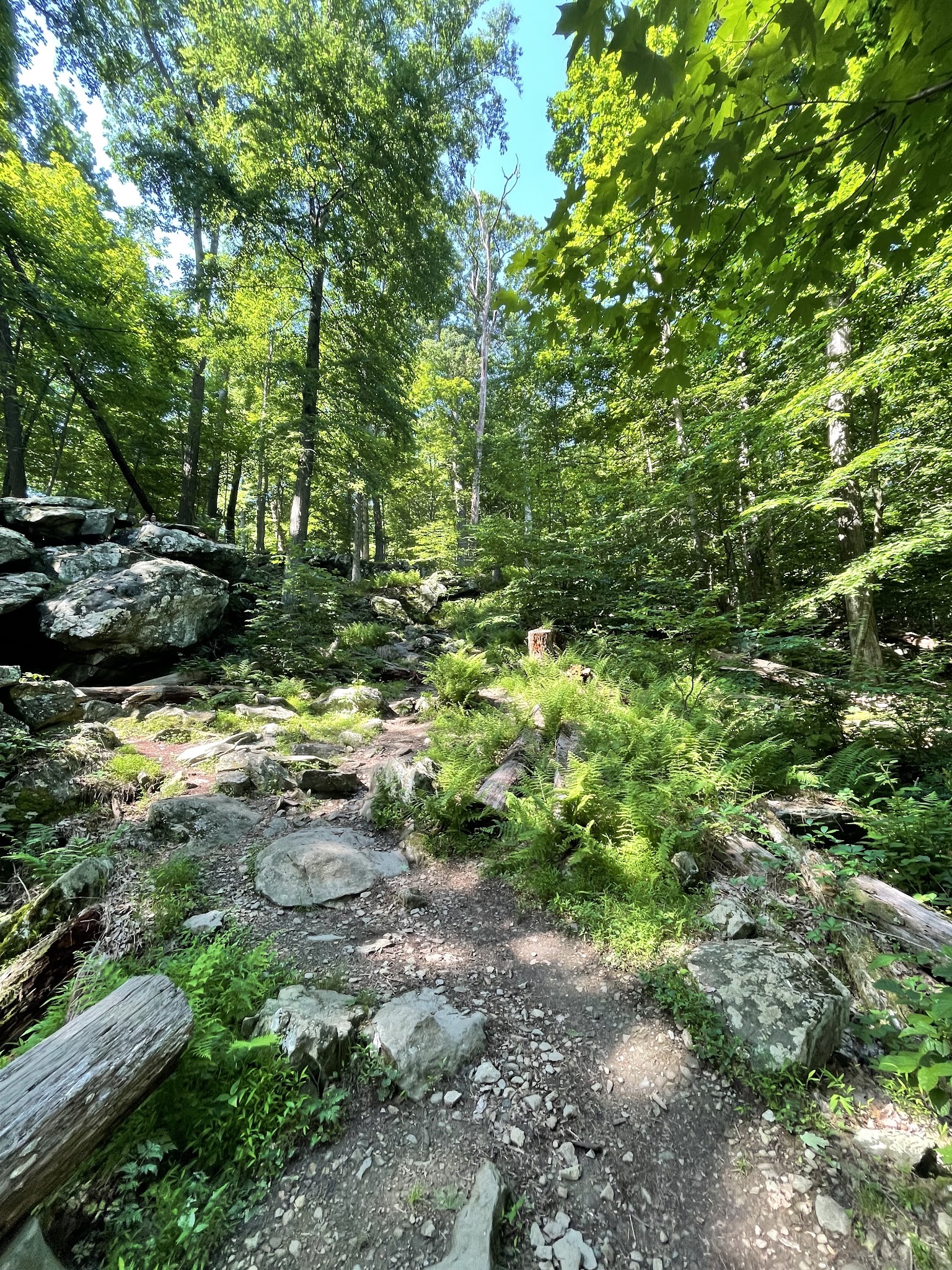 Oak Ridge Campground