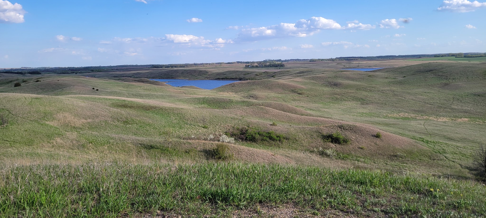 Oak Ridge Campground