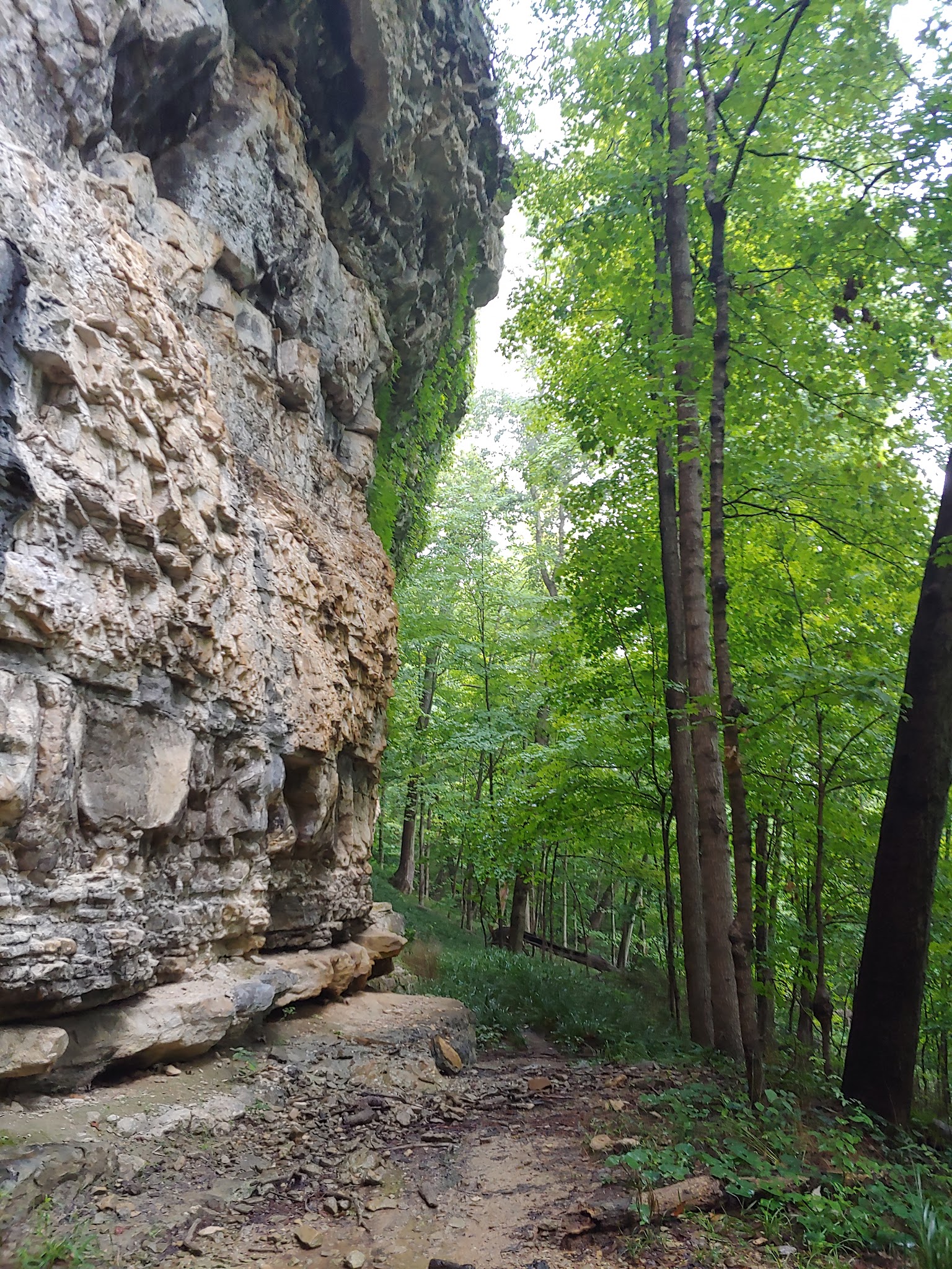 Obannon Woods State Park