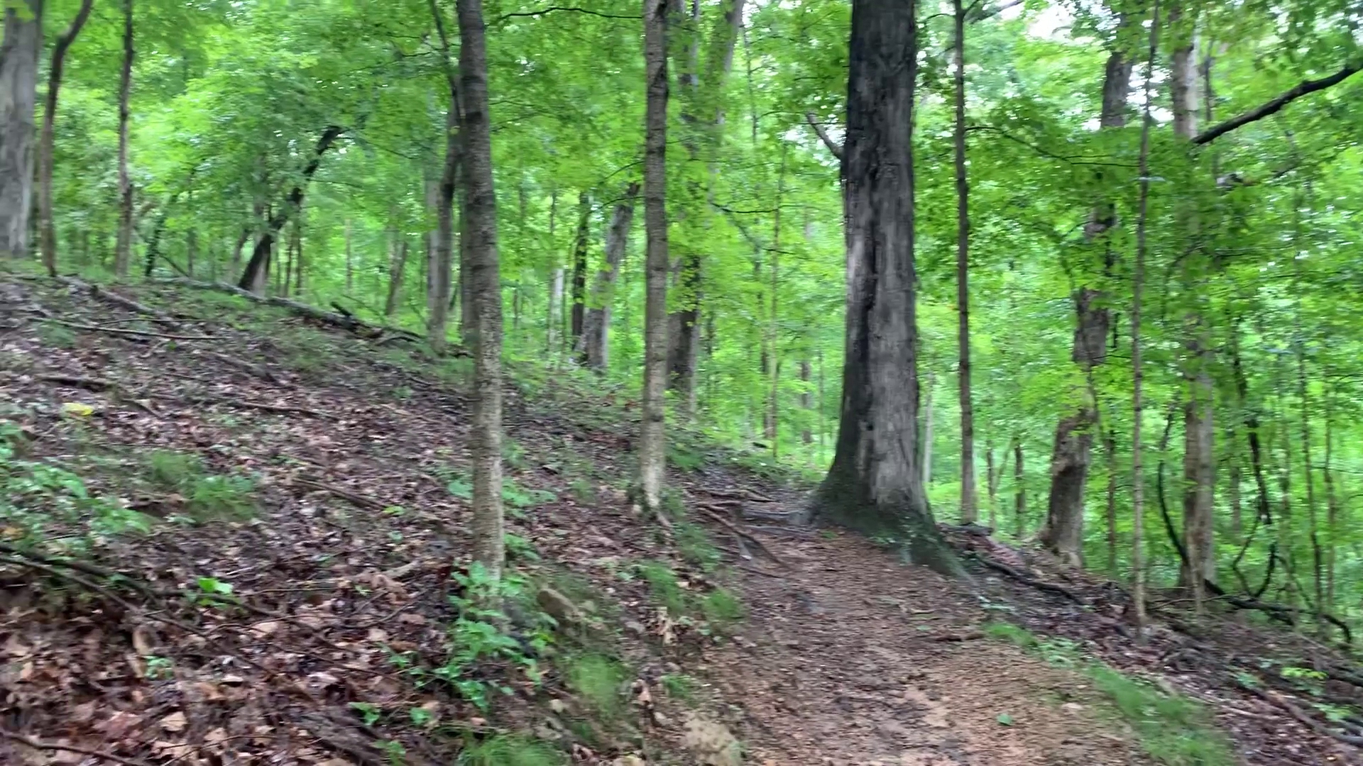 Obannon Woods State Park