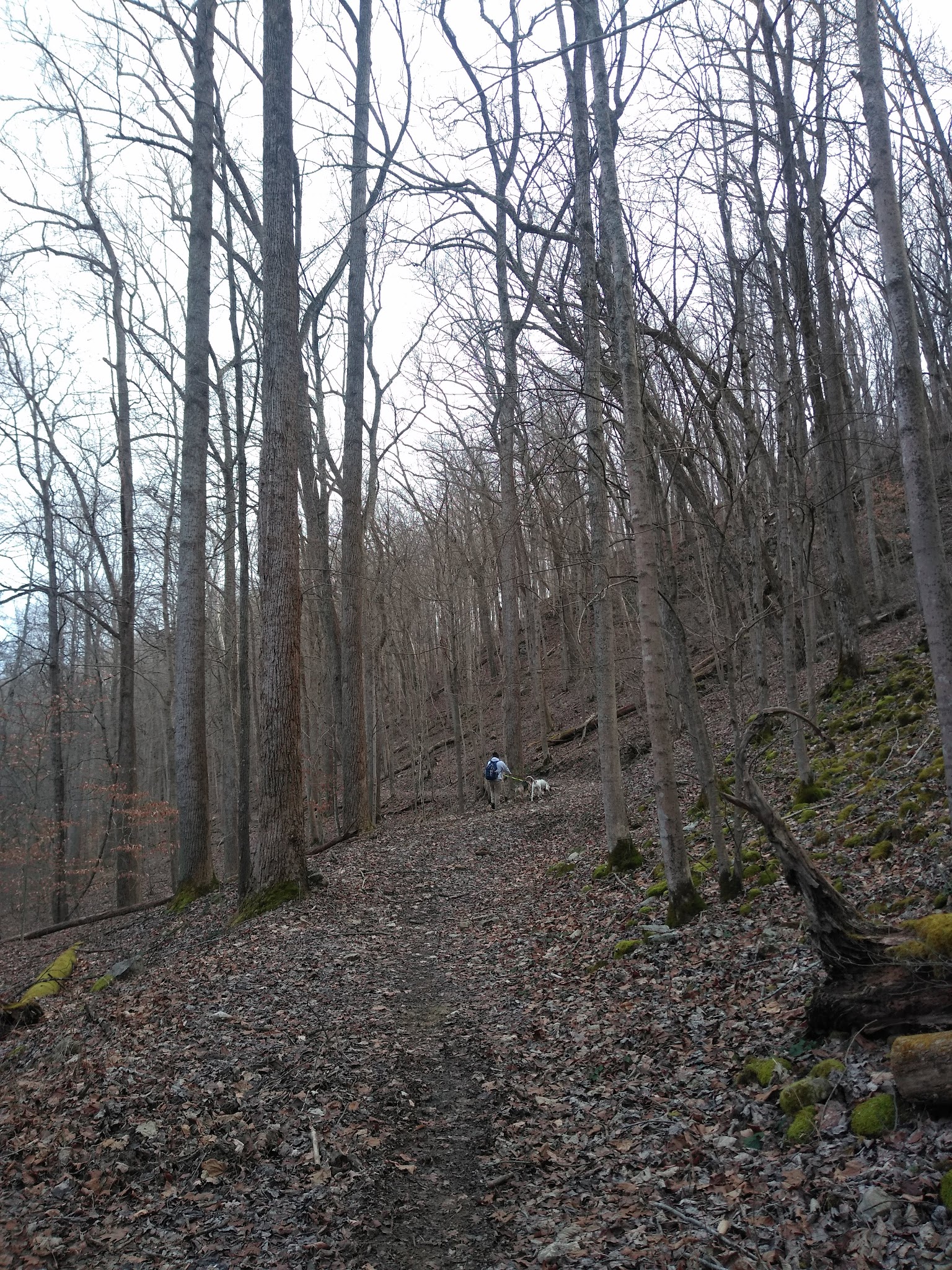 Obannon Woods State Park
