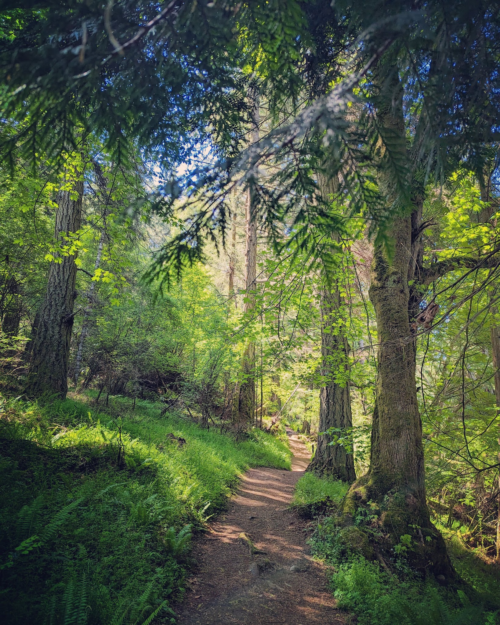 Obstruction Pass State Park