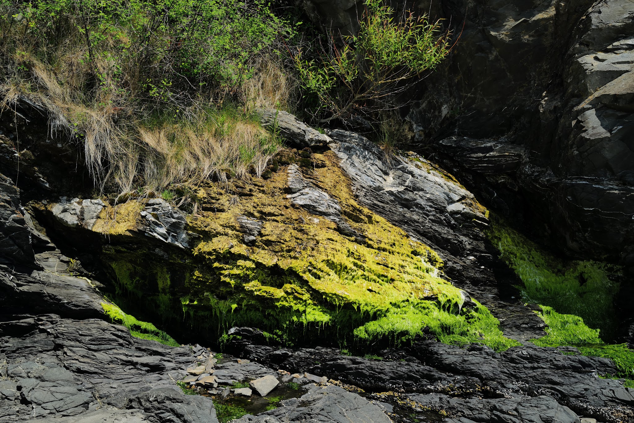 Obstruction Pass State Park