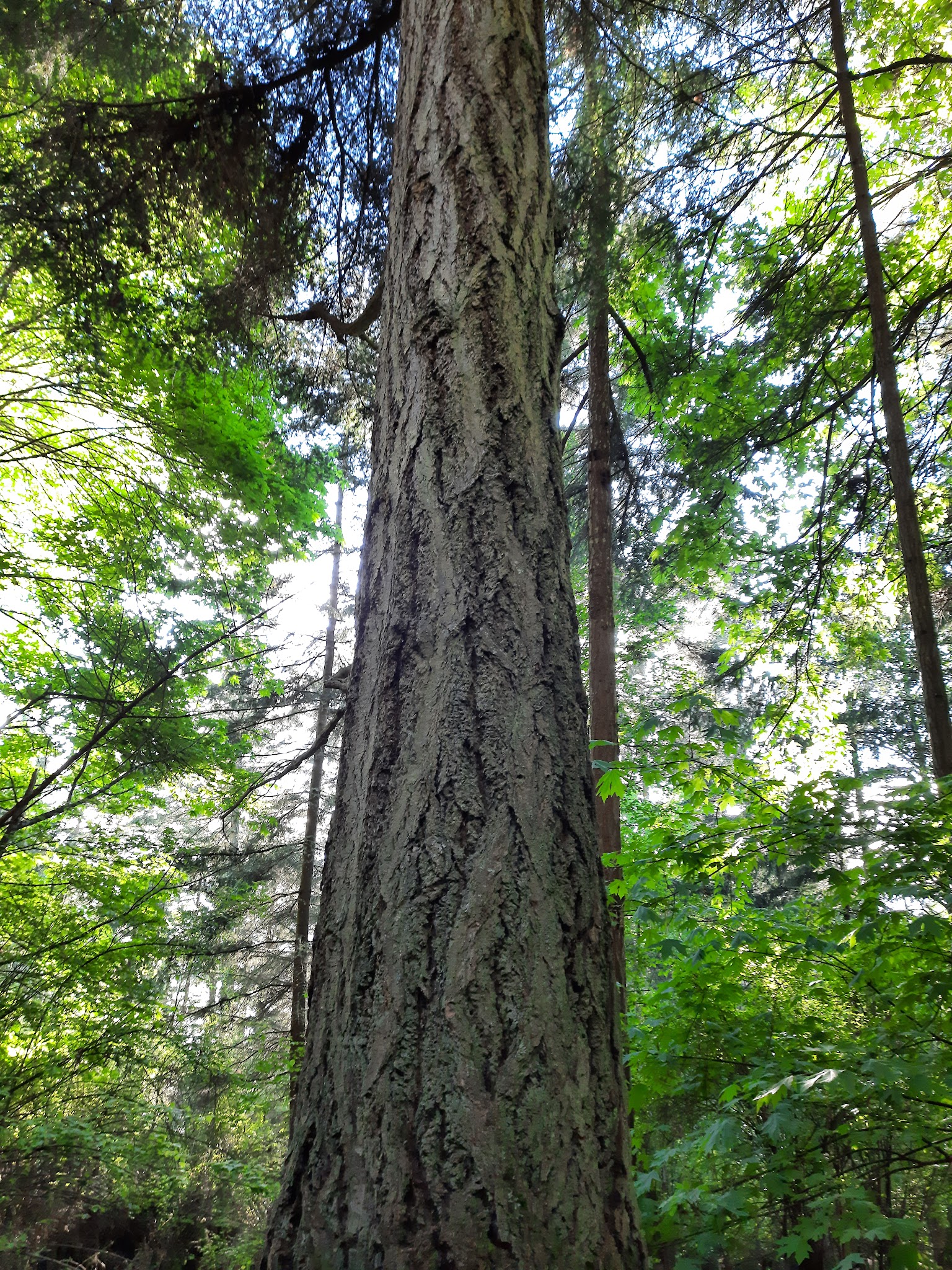 Obstruction Pass State Park