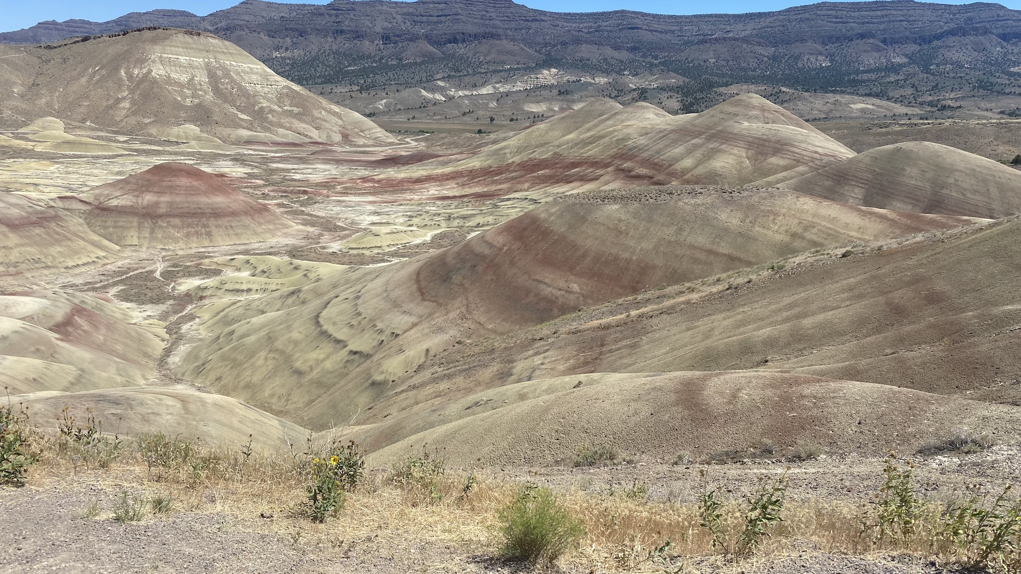 Ochoco Divide Group Site