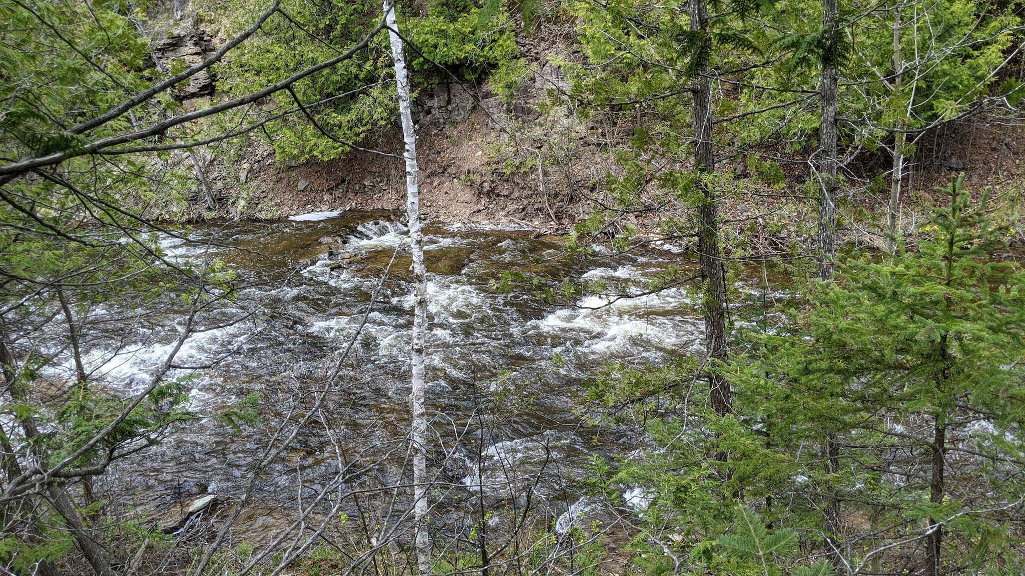 Ocqueoc Falls State Forest Campground