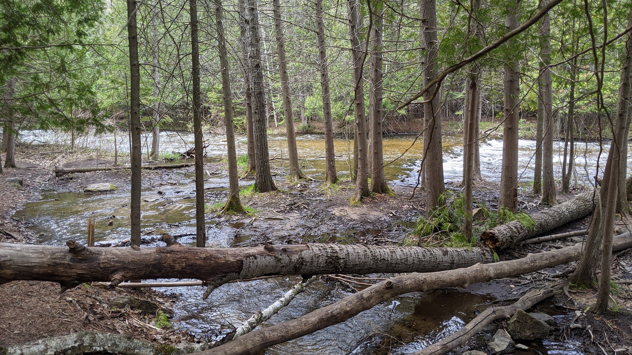 Ocqueoc Falls State Forest Campground