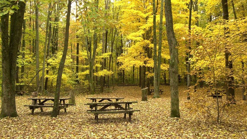 John Bryan Group Campground