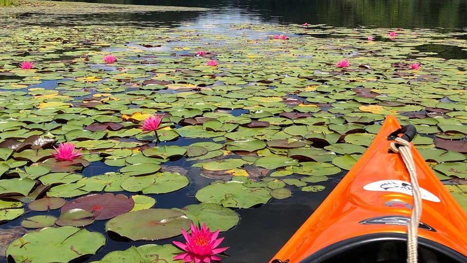 Lake Hope Campground