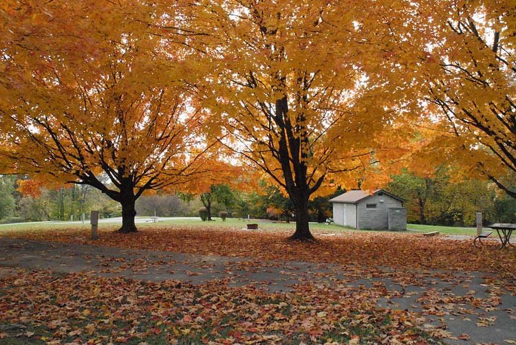 Paint Creek Campground