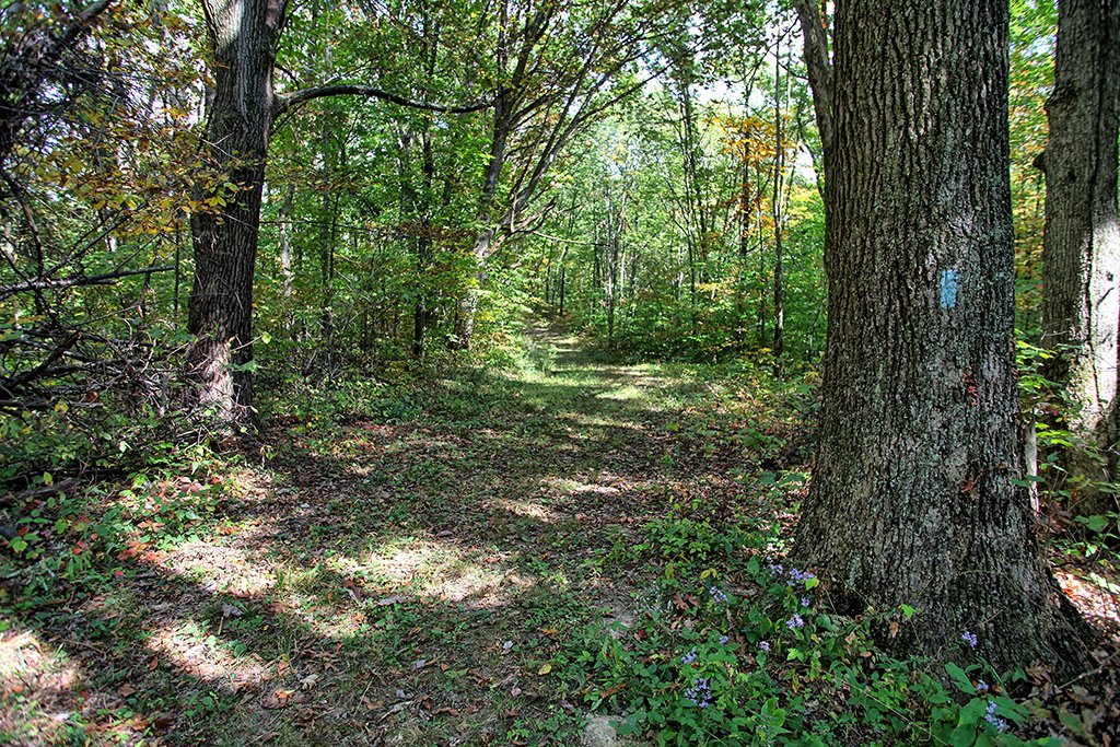 Salt Fork Primitive Campground