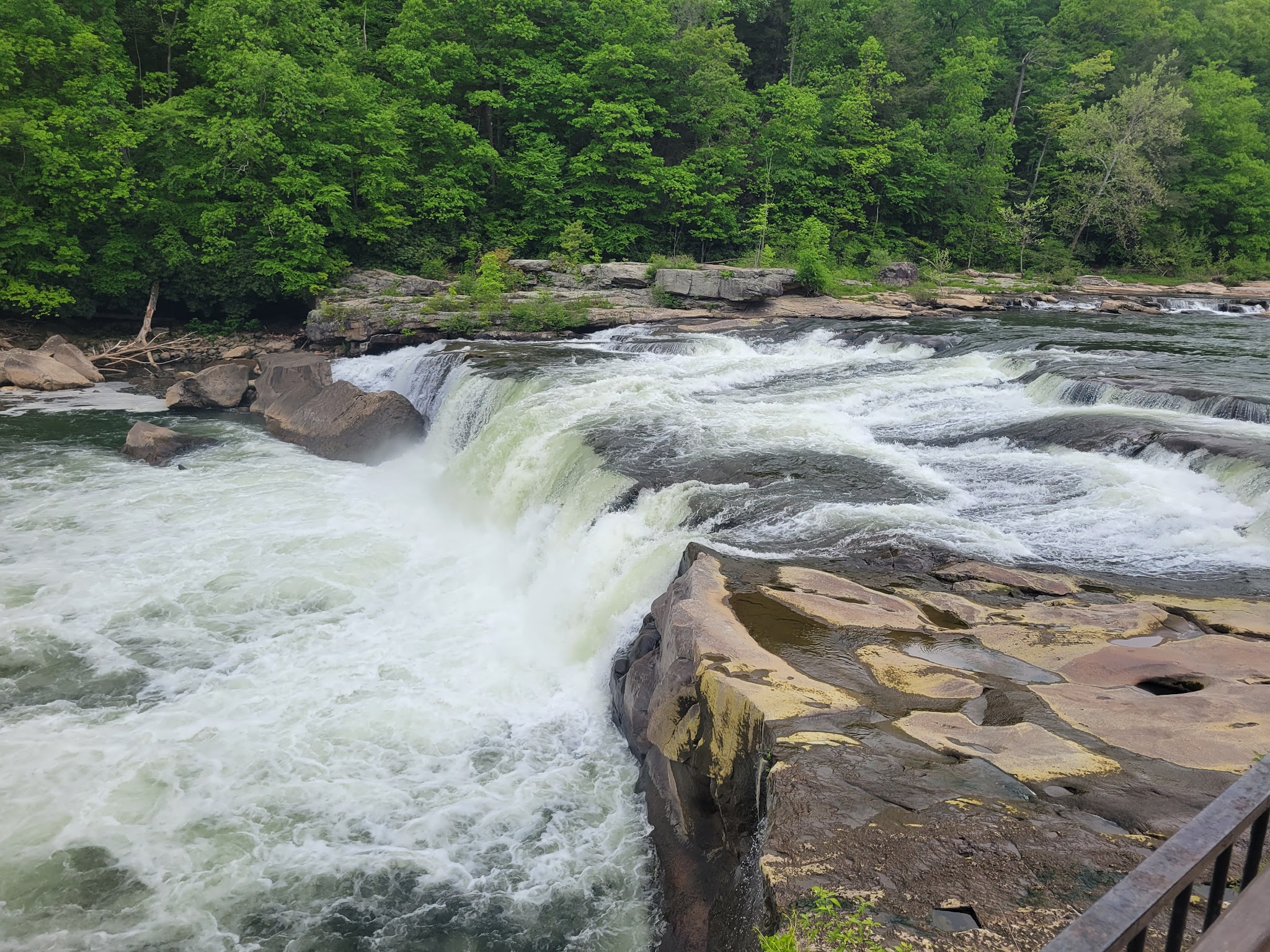 Ohiopyle State Park