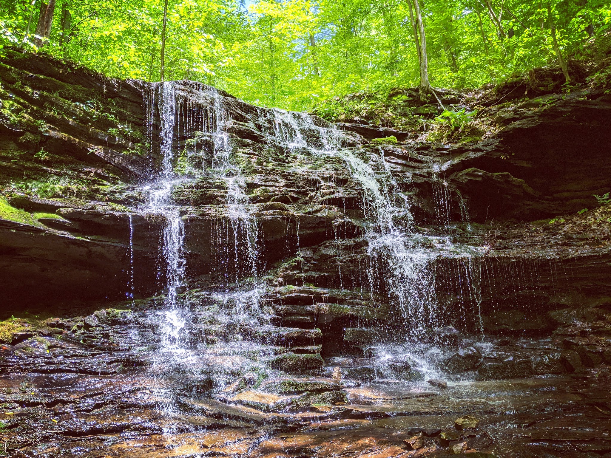 Oil Creek State Park