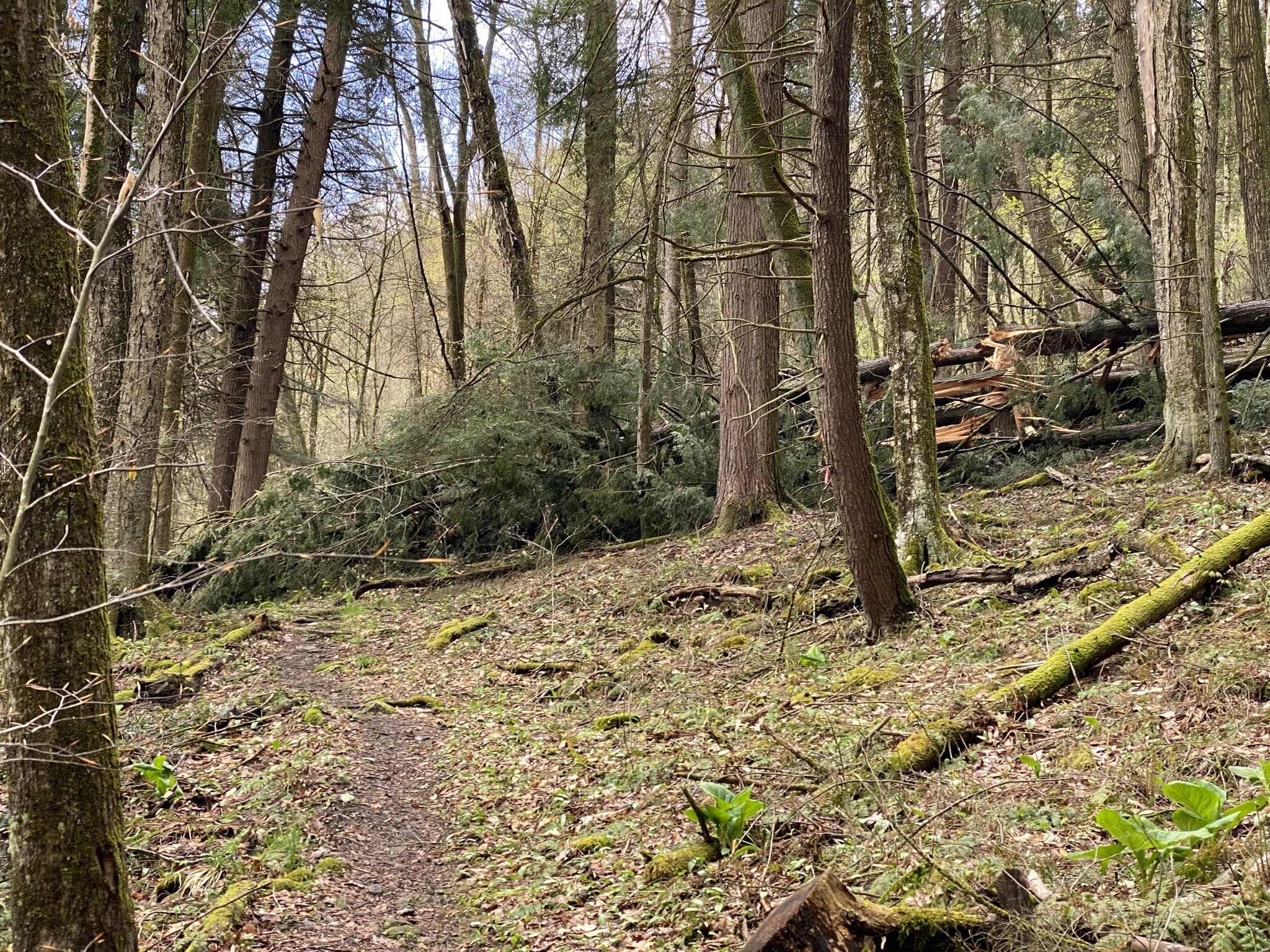 Oil Creek State Park