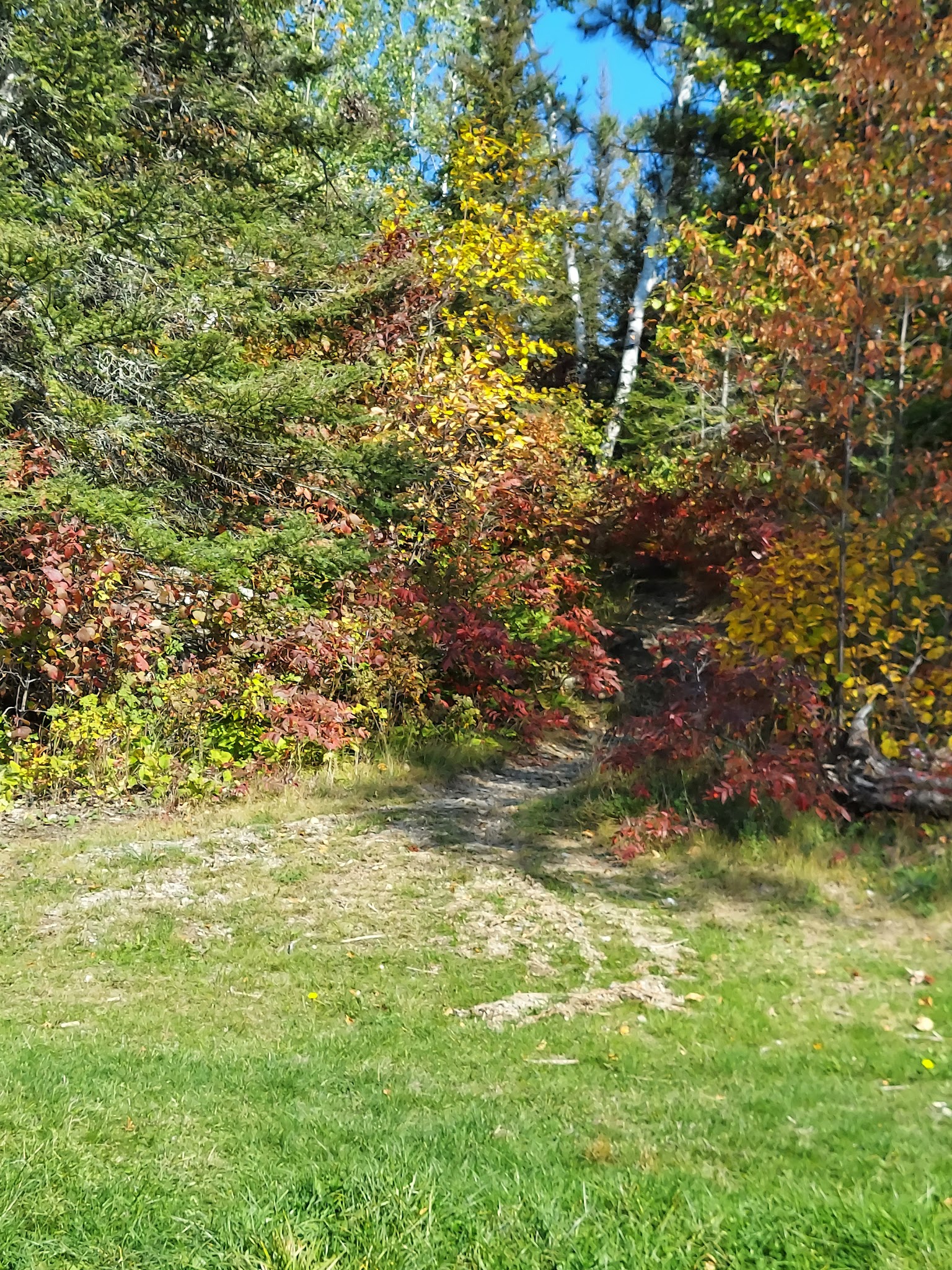Ojibway And Triangle Lakes
