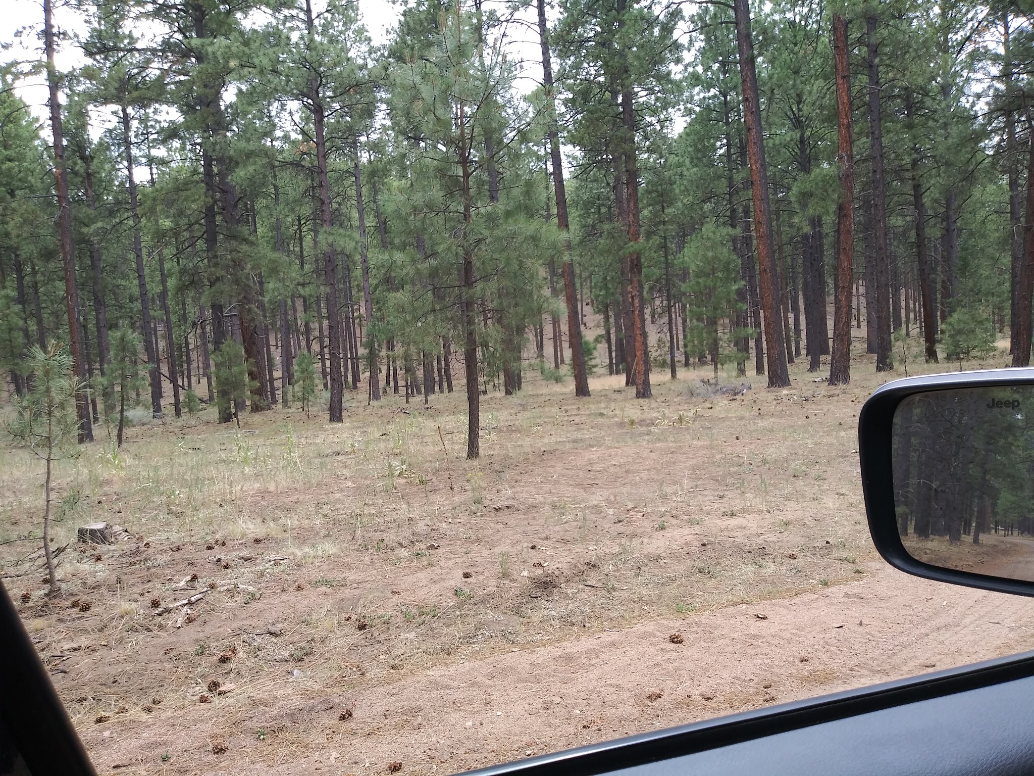 Ojo Redondo Campground