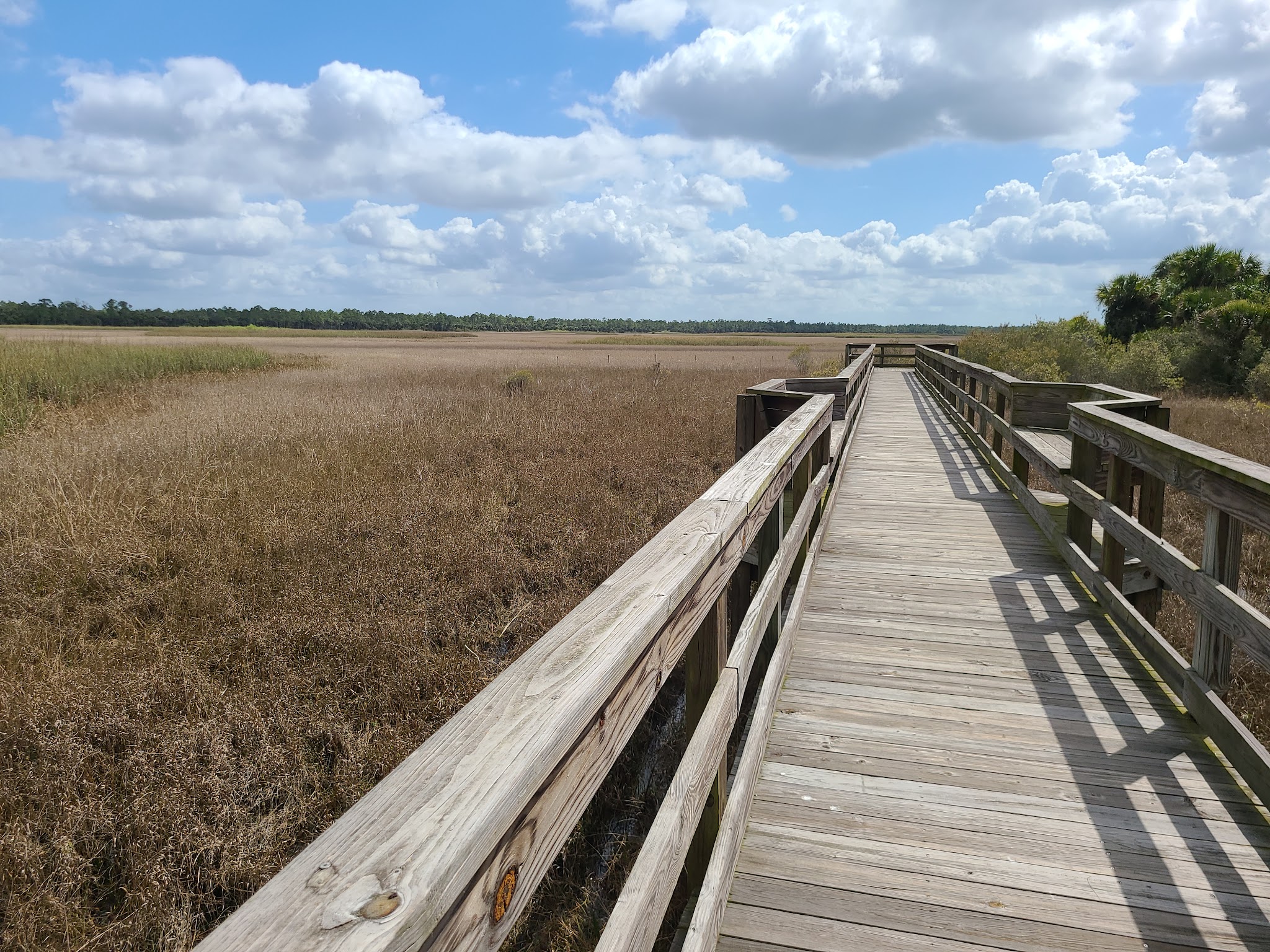 Okaloacoochee Slough Overflow  Camp