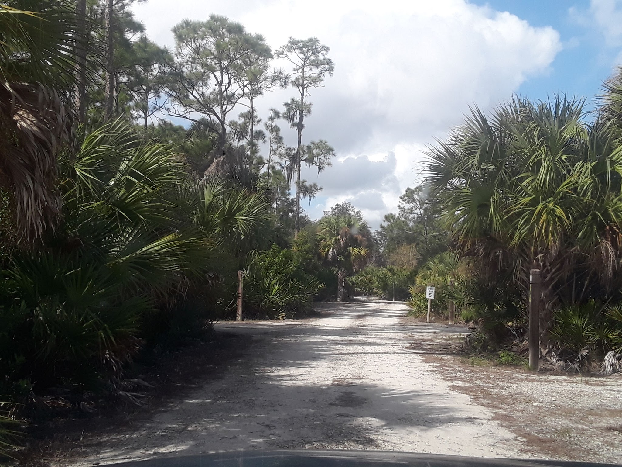 Okaloacoochee Slough Overflow  Camp