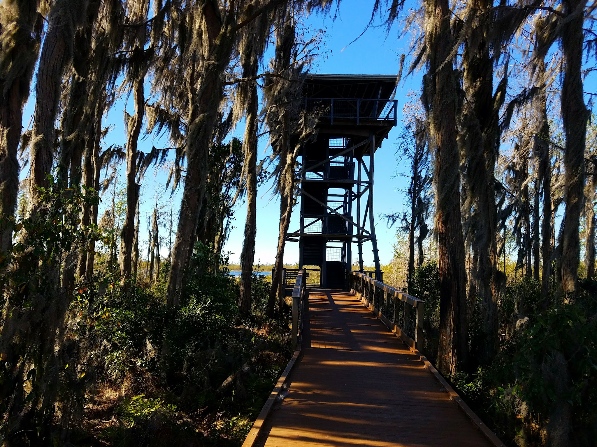 Best campgrounds in Georgia