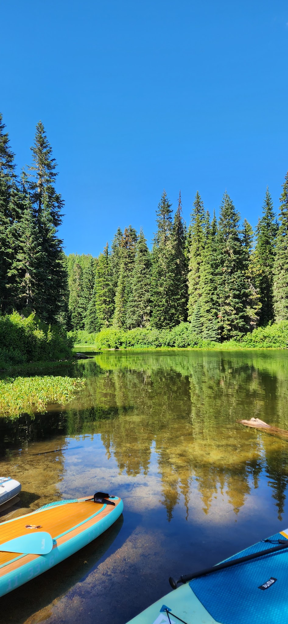 Campground: Olallie Lake