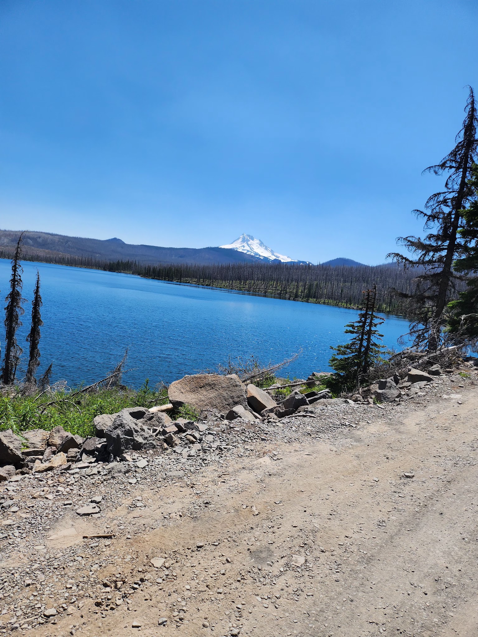 Olallie Meadow Campground