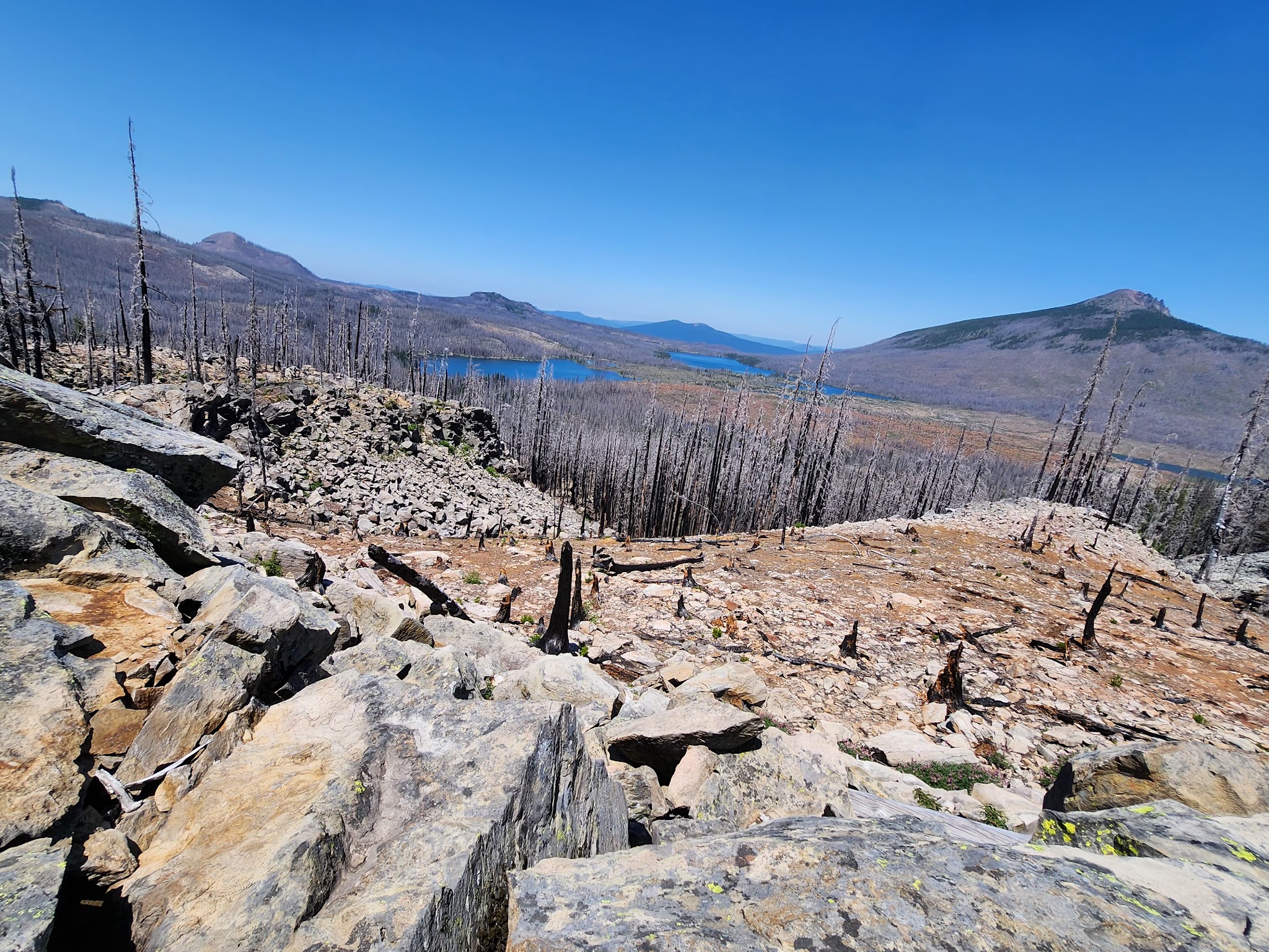 Olallie Meadow Campground