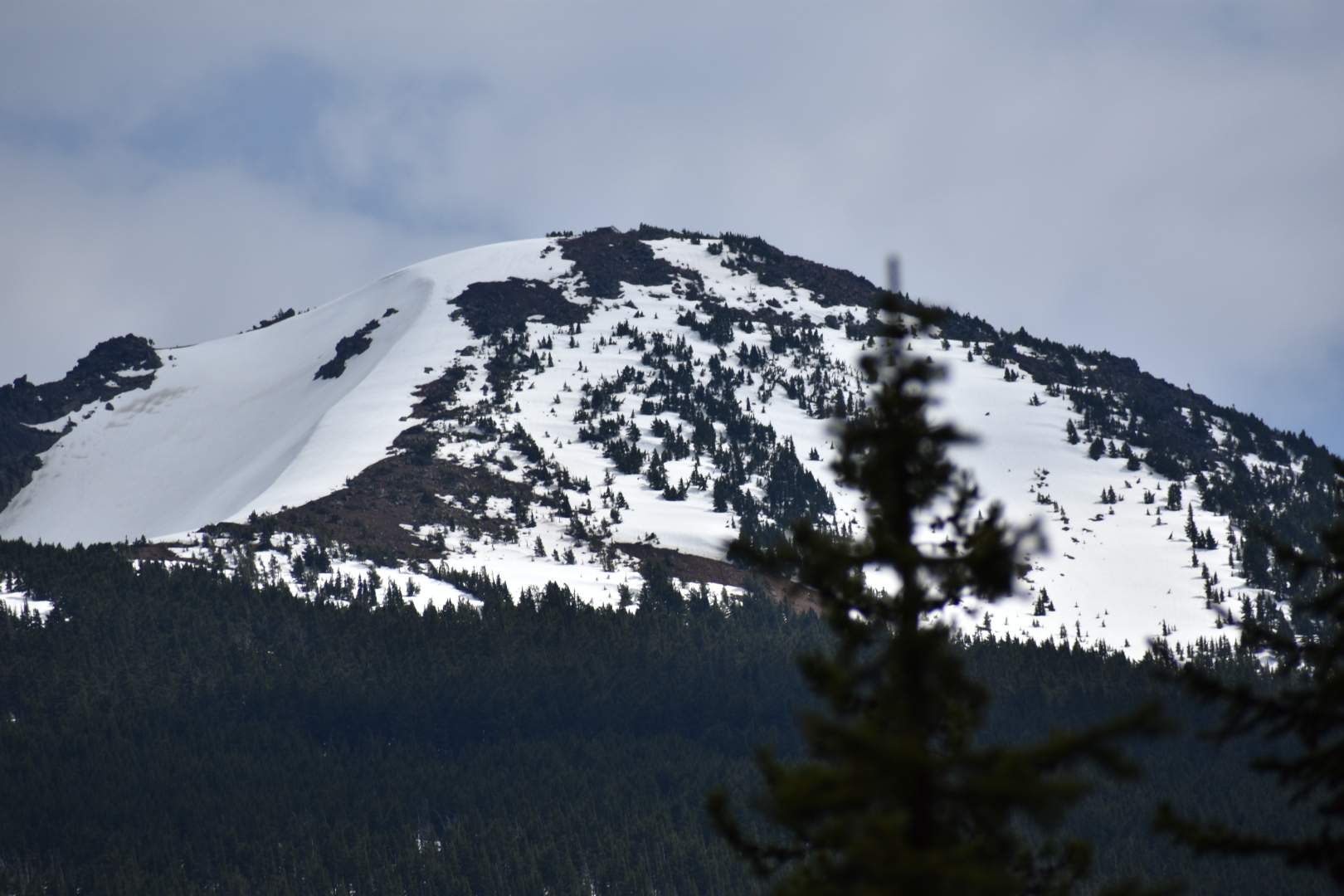 Olallie Meadow Campground