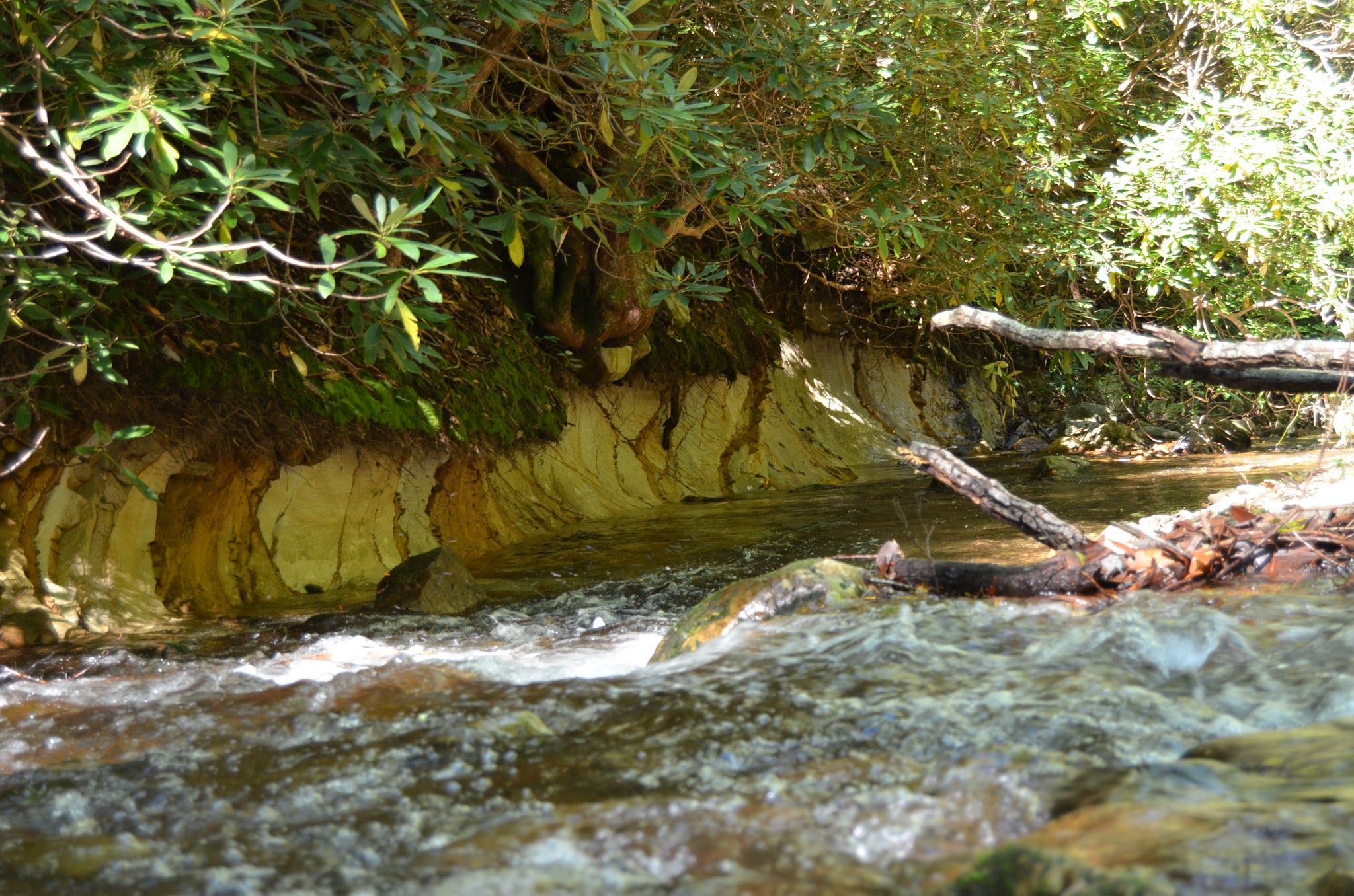 Old Forge Campground