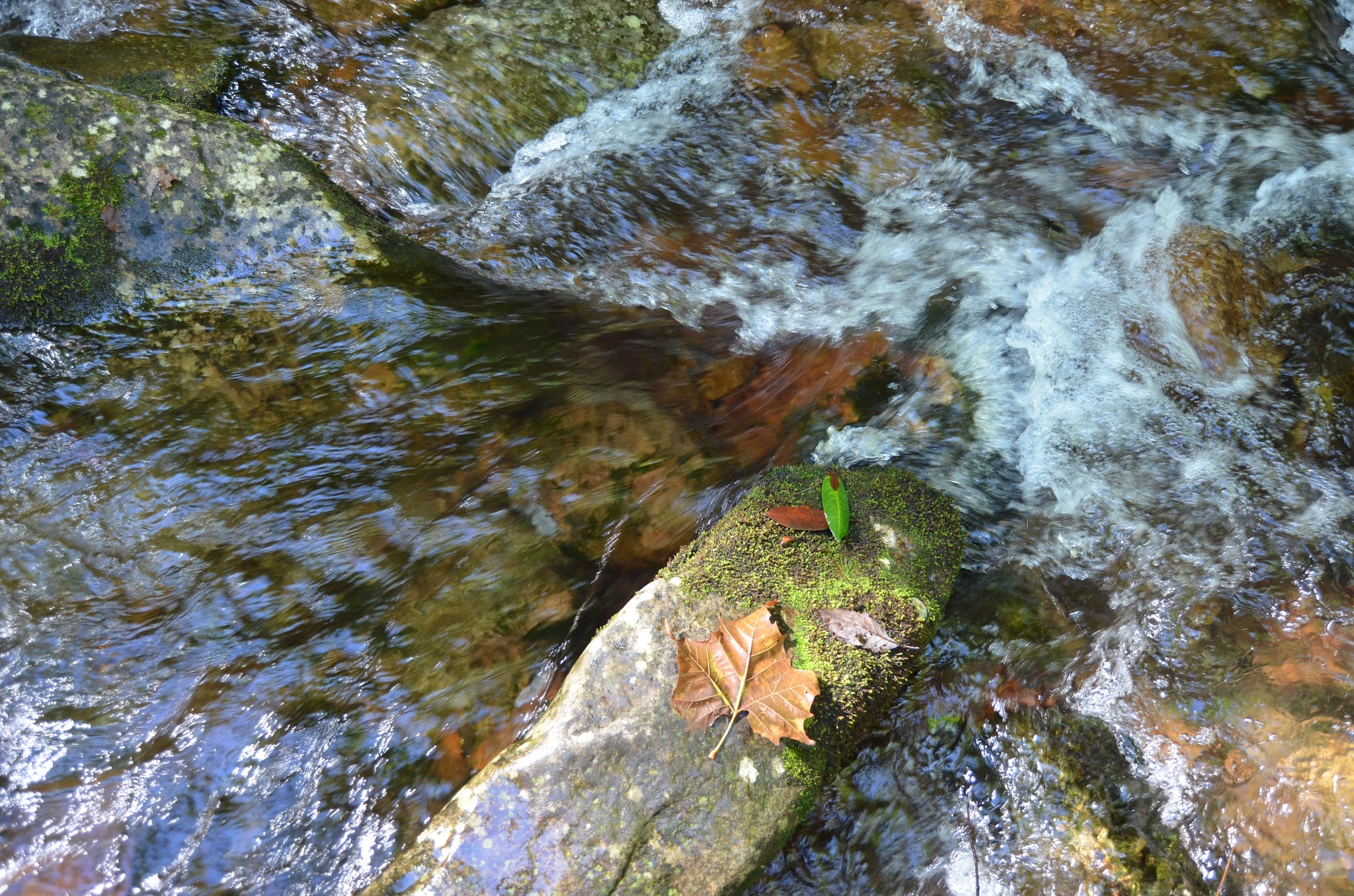 Old Forge Campground