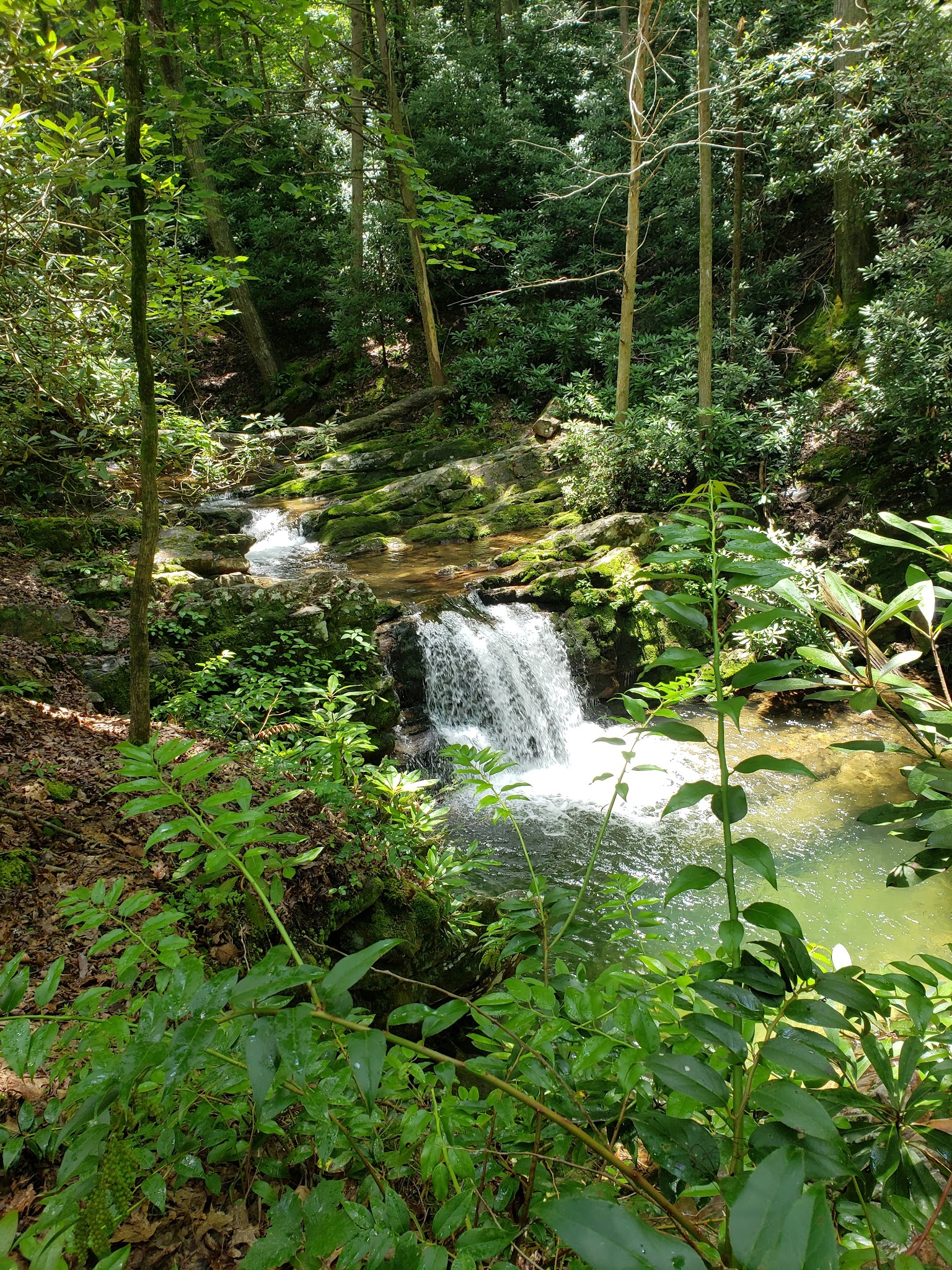 Old Forge Campground