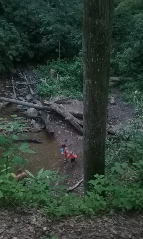 Old Forge Campground