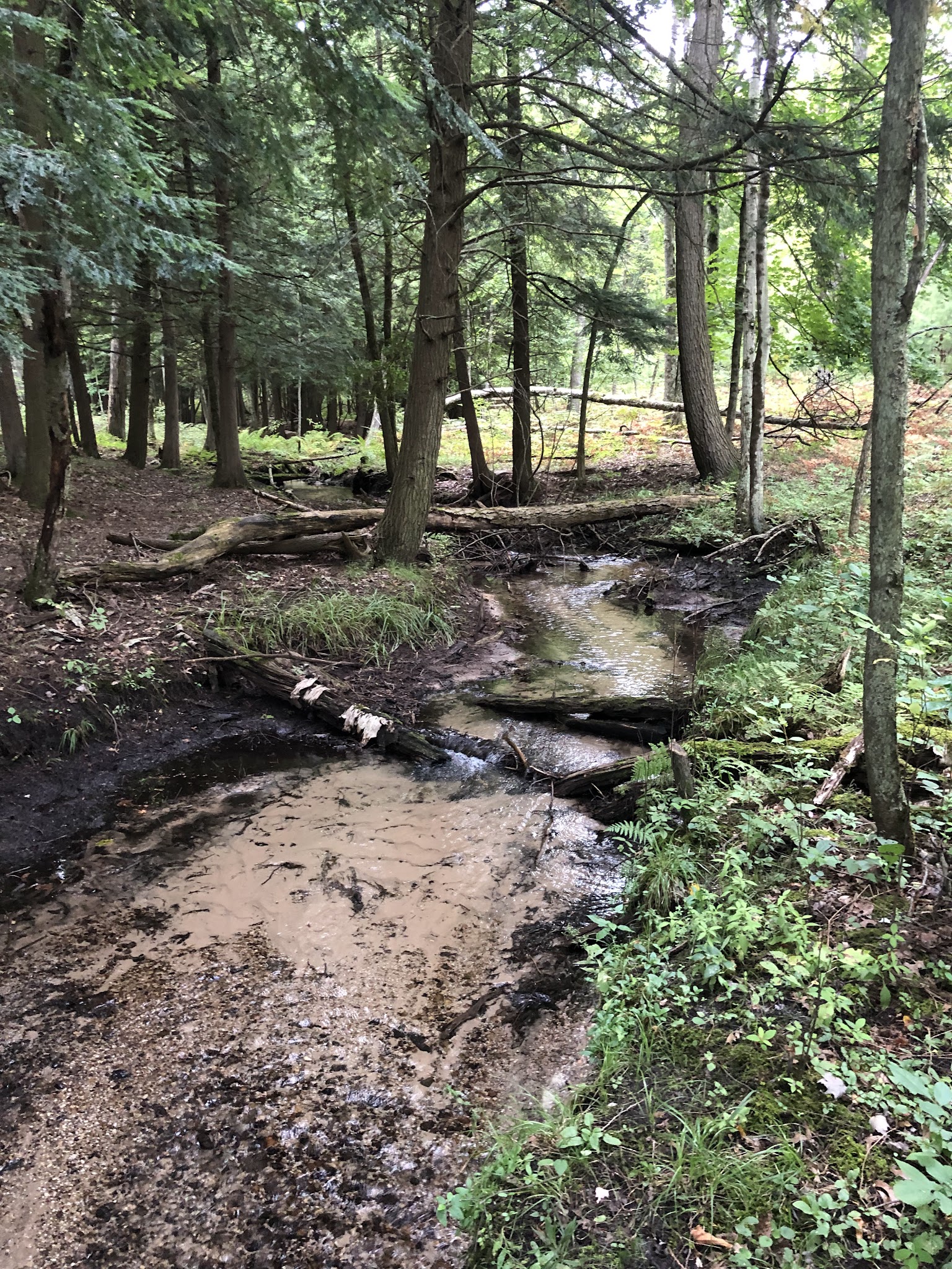 Old Grade Campground