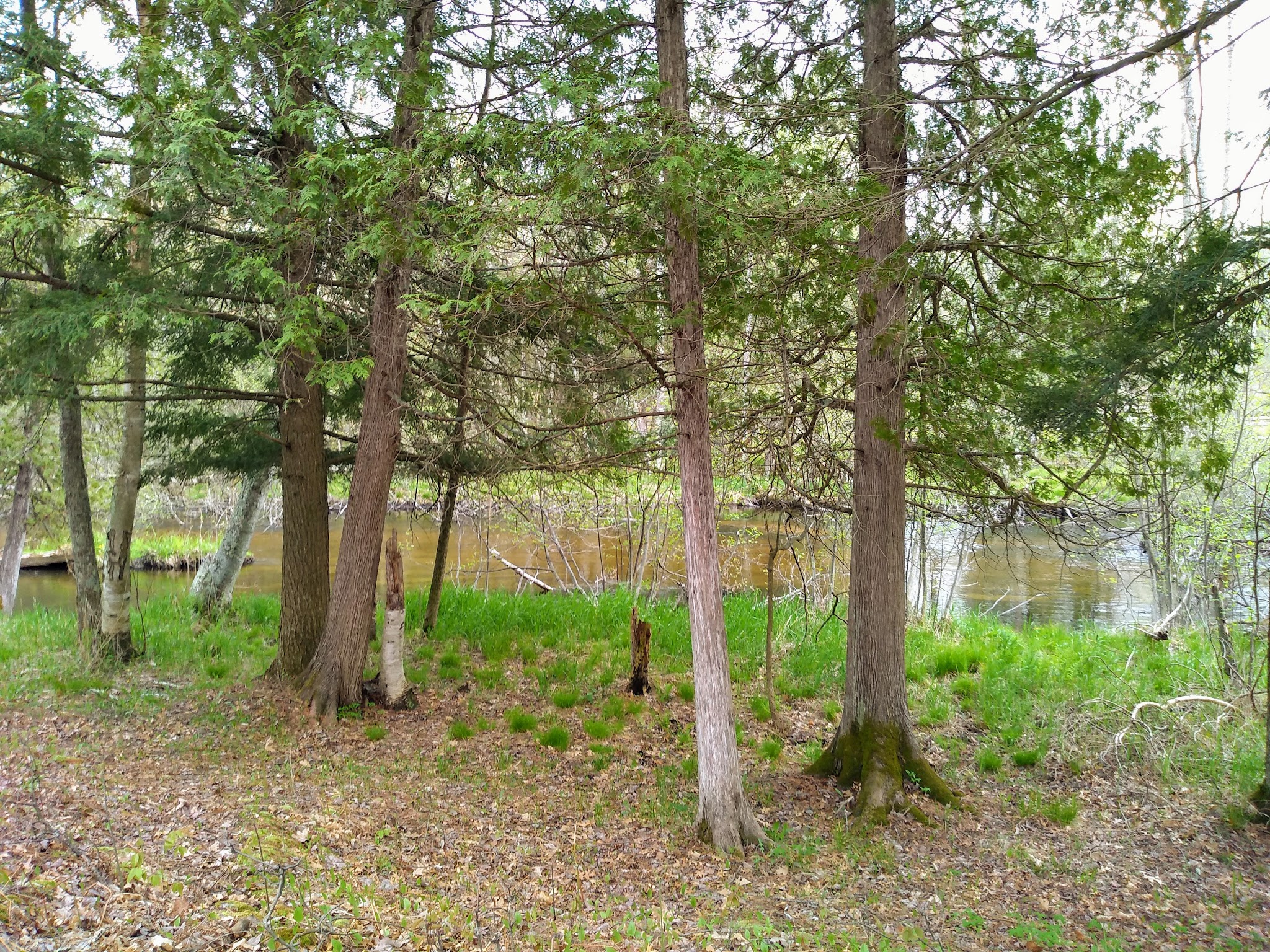 Old Grade Campground