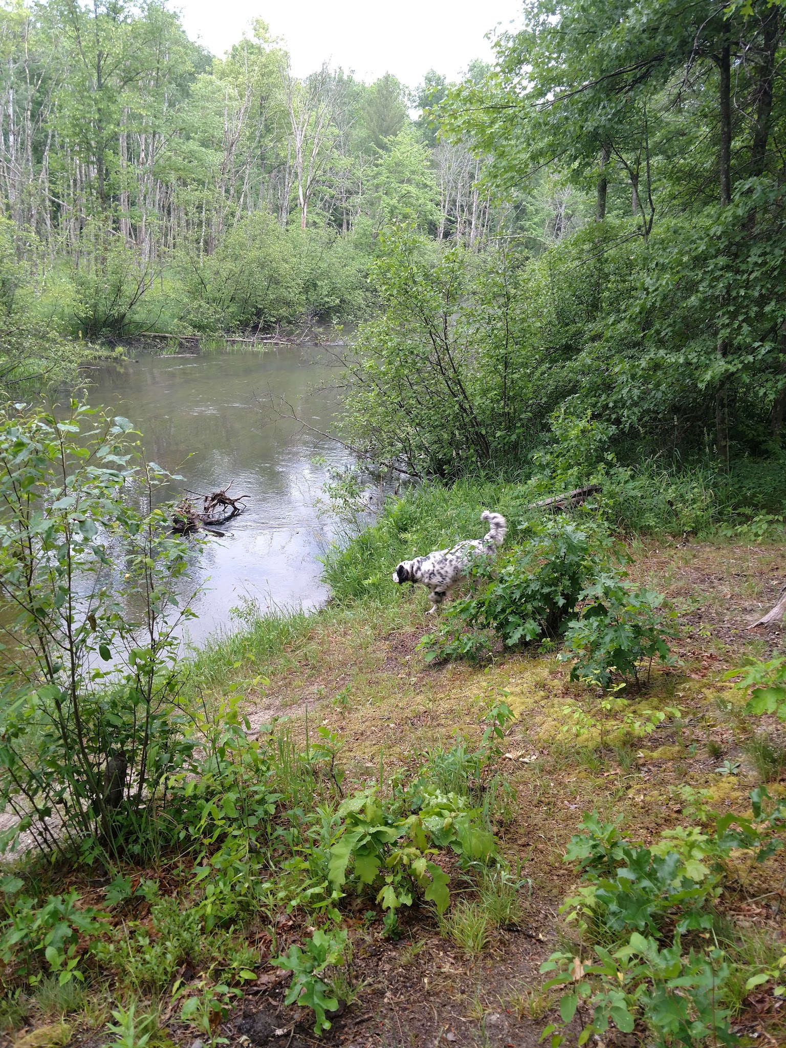 Old Grade Campground