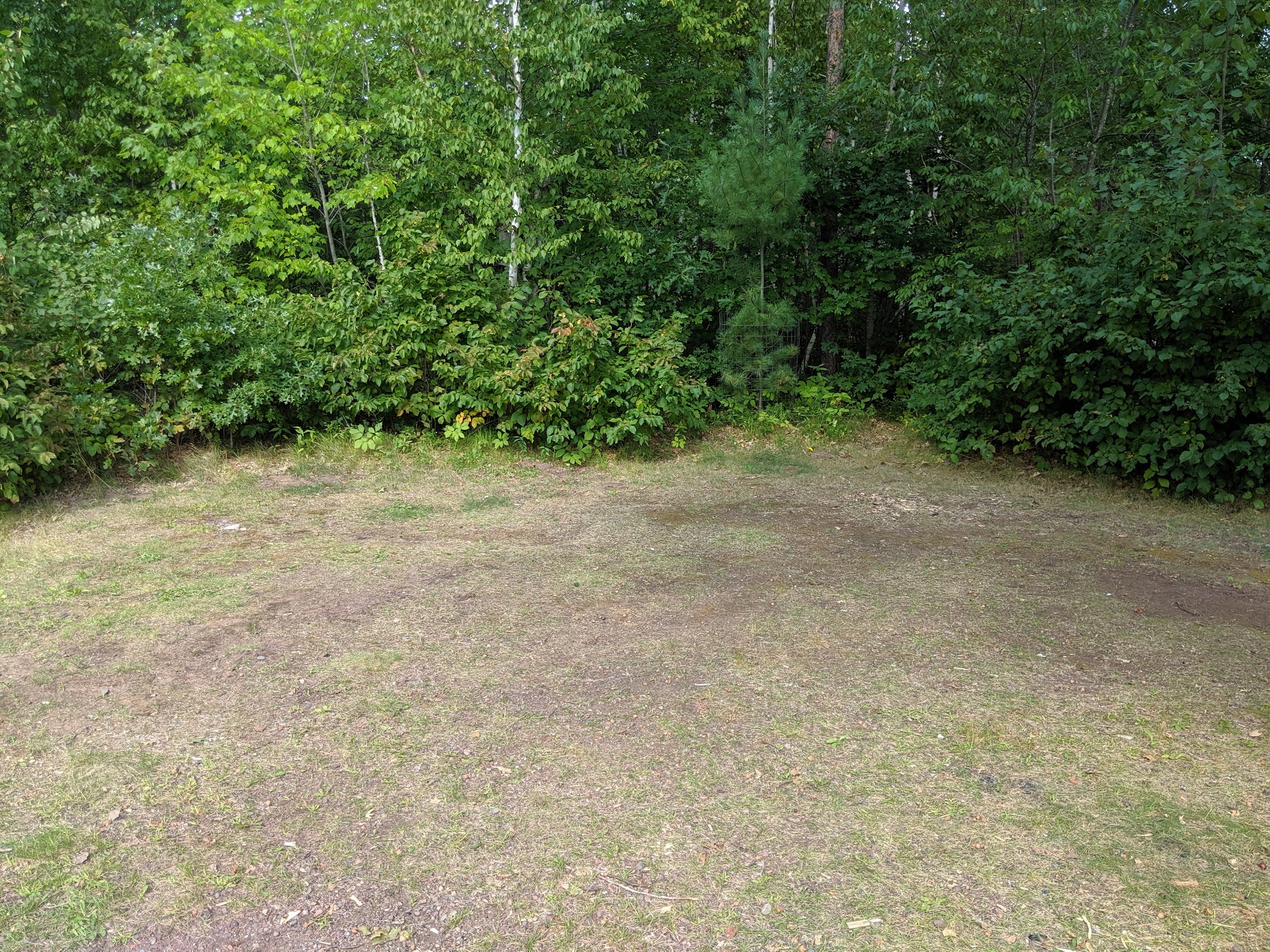 Old Logging Trail Campground