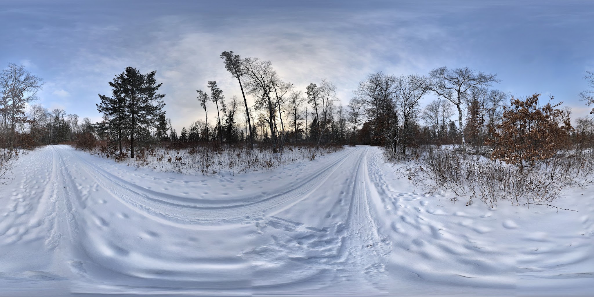Old Logging Trail Campground