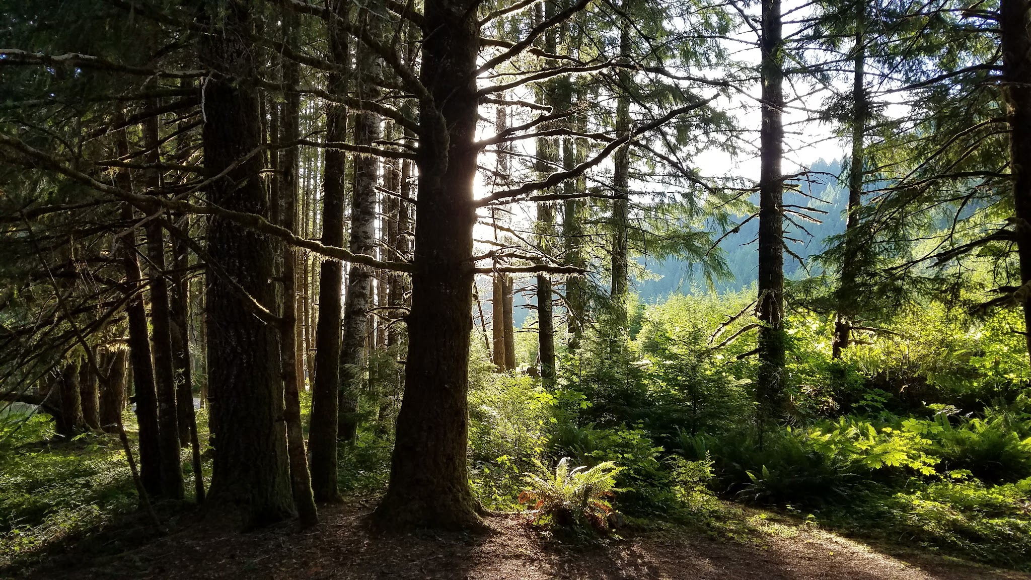 Old Miner'S Meadow Group Use Area