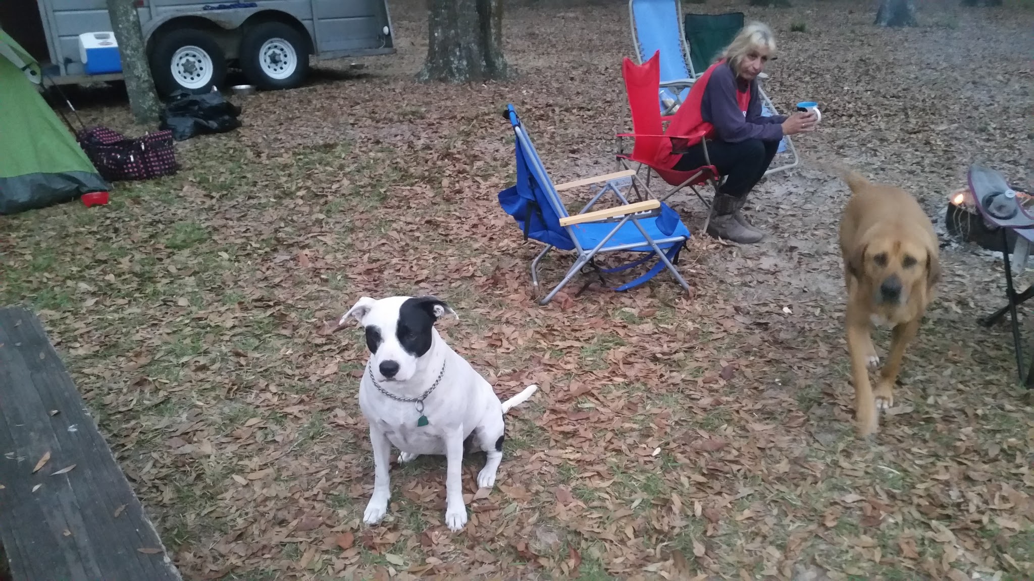 Horse Barn Campground