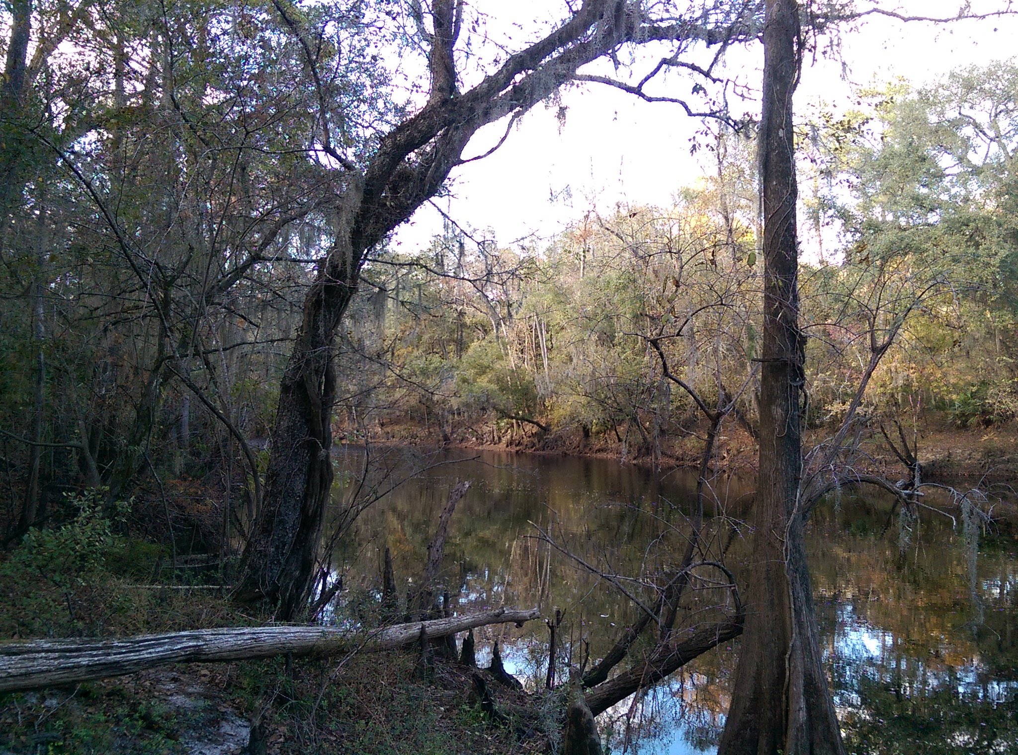 O'Leno State Park Campground