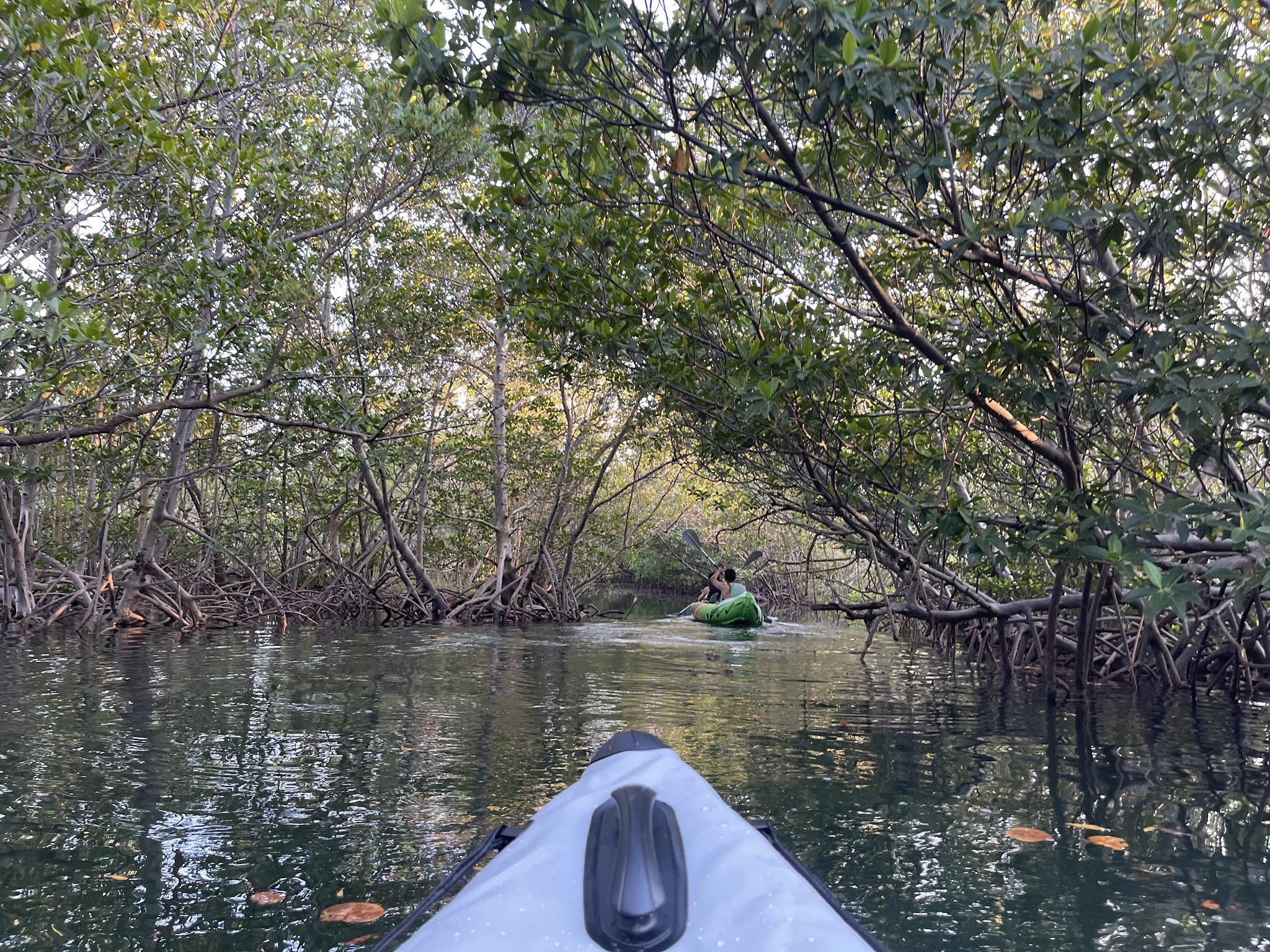 Oleta River State Park Campground