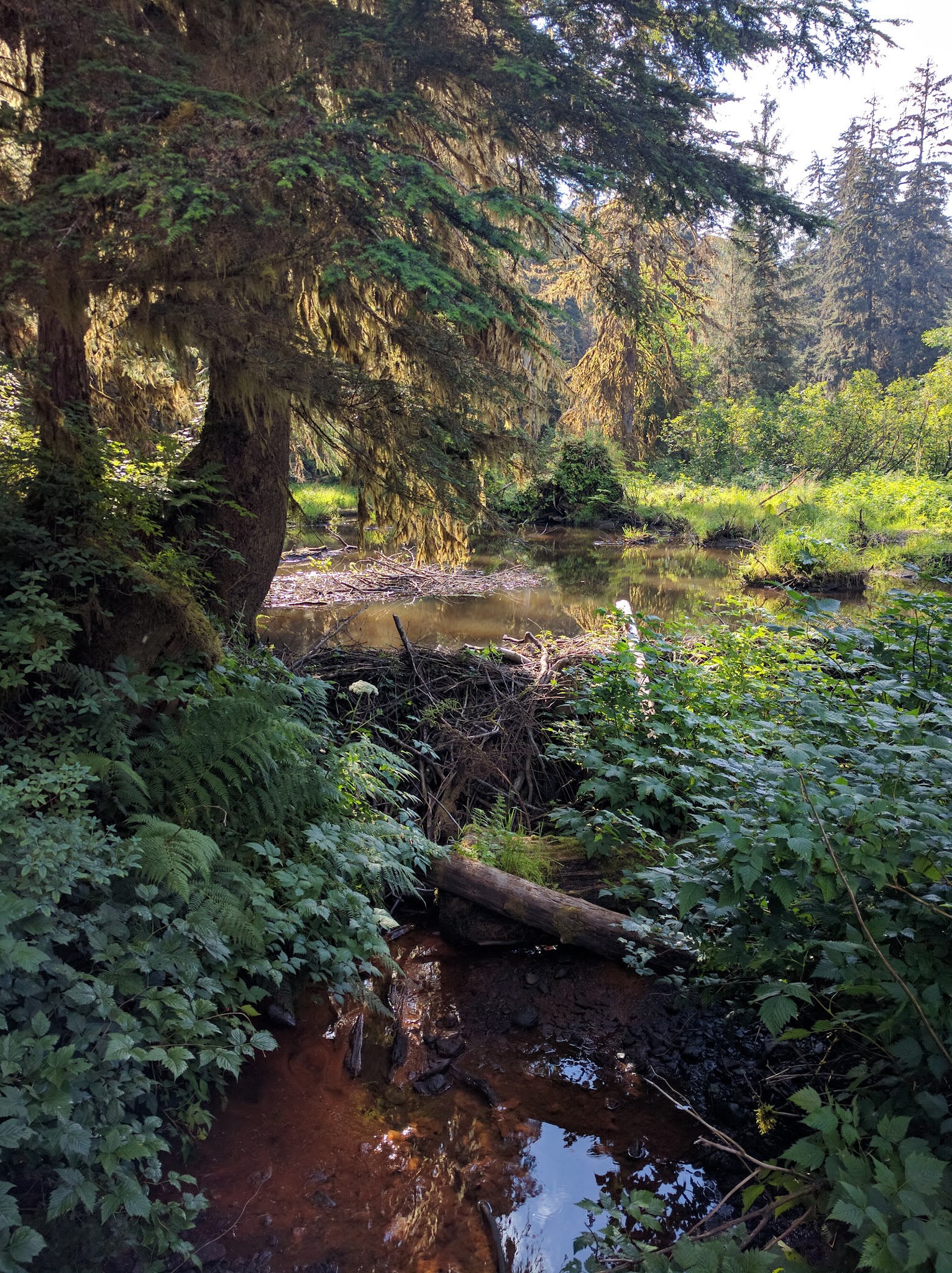 Oliver Inlet State Marine Park