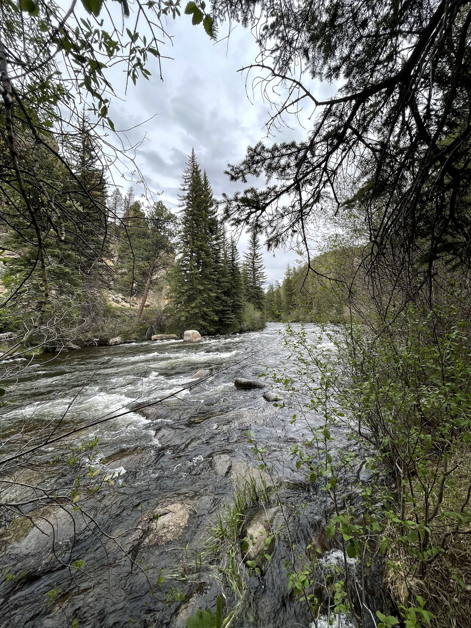 One Mile | CO | Camping Information & Reviews