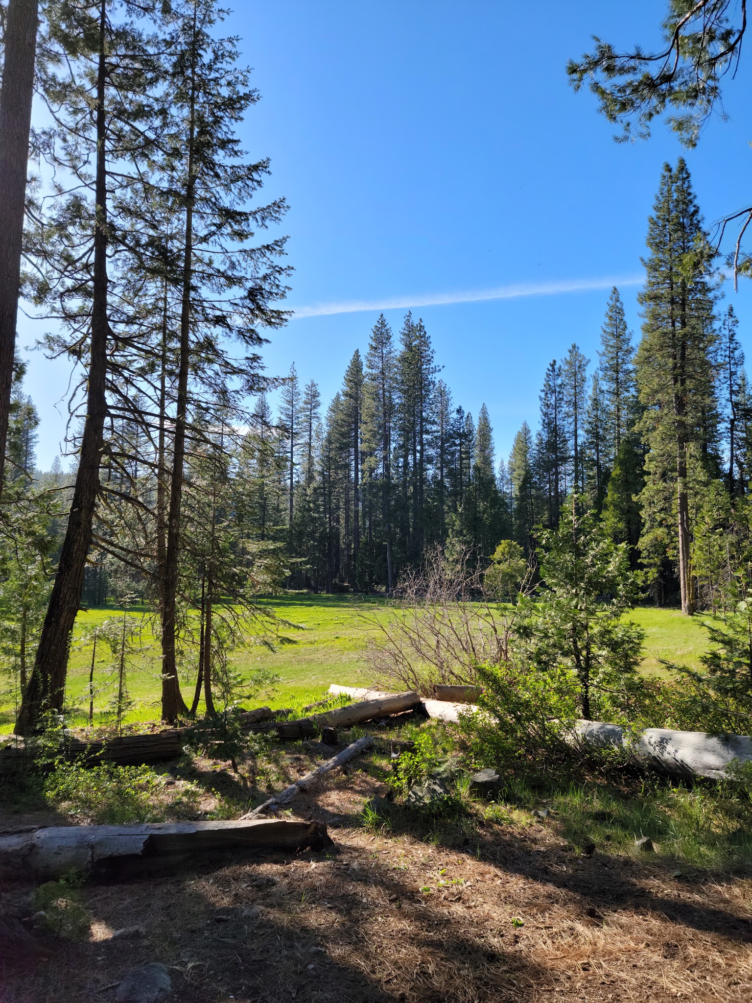 Onion Valley Campground