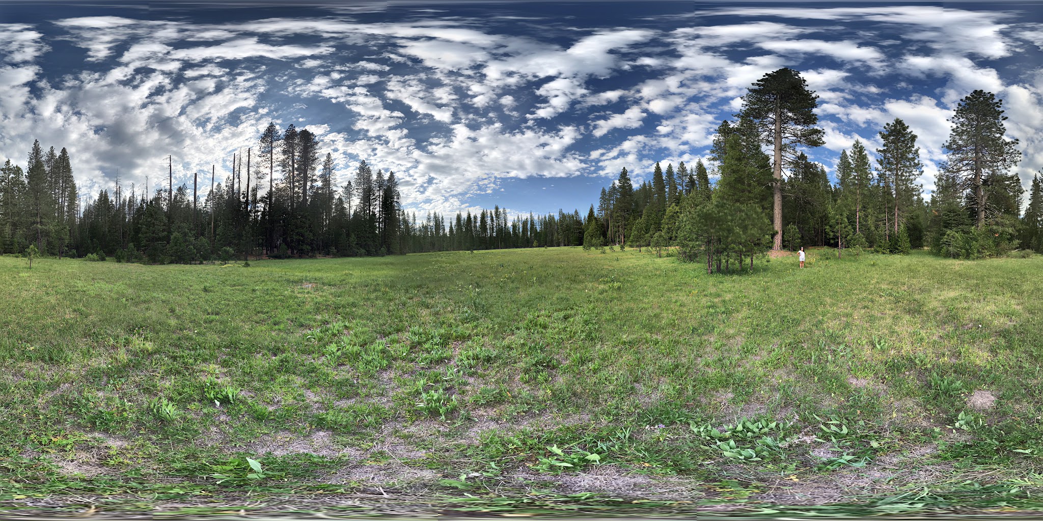 Onion Valley Campground