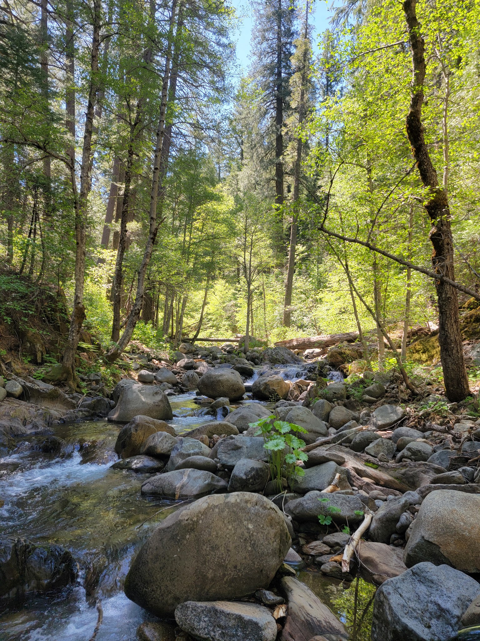 Onion Valley Campground