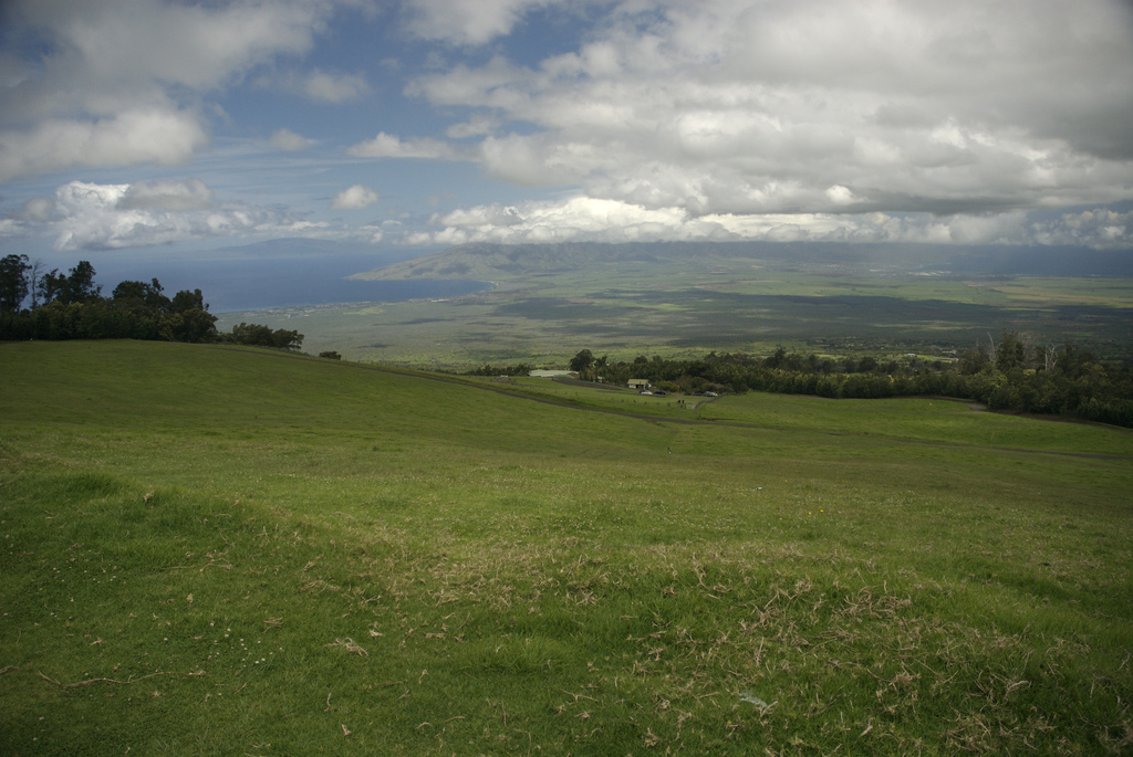 Polipoli Spring Campground