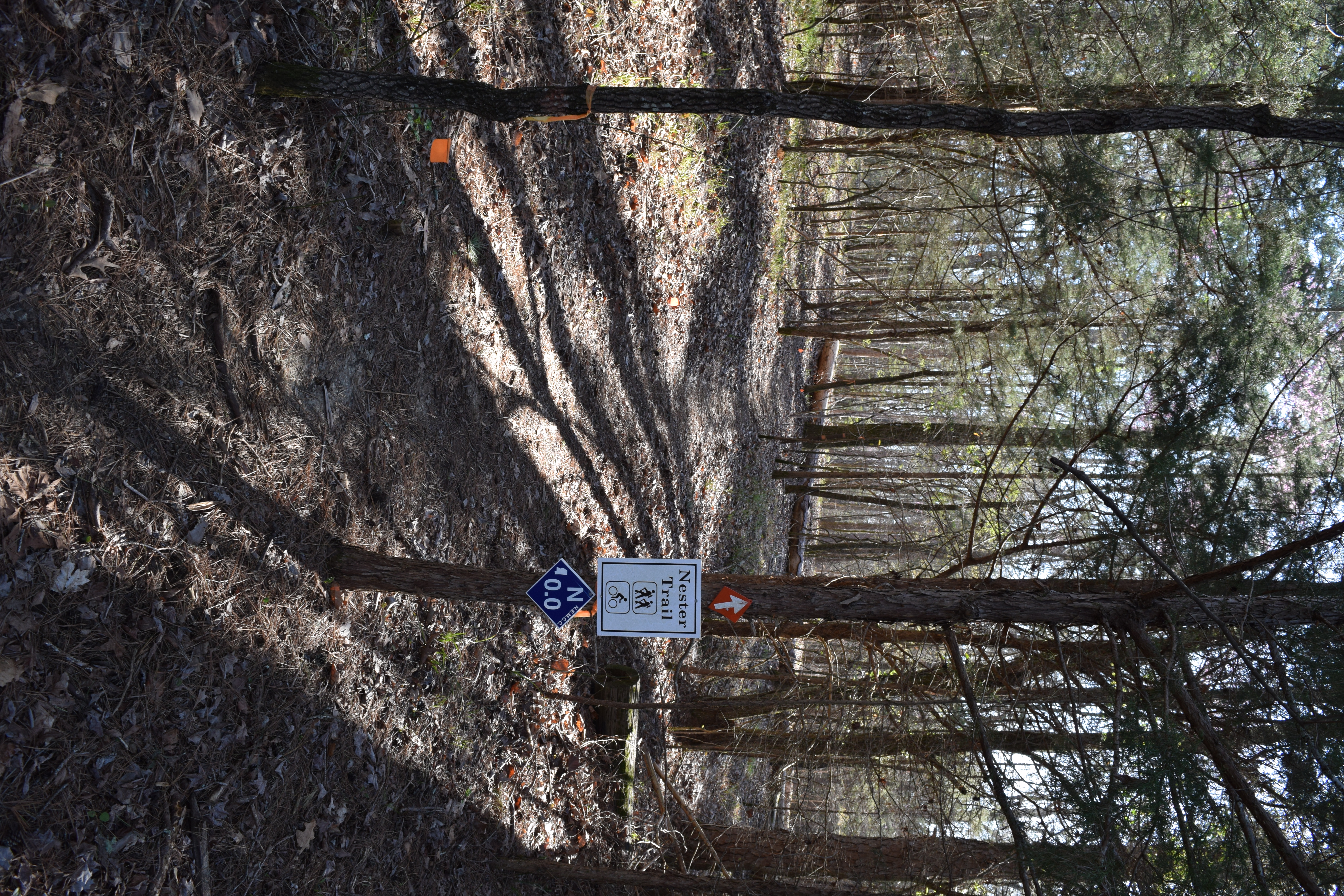 Trace Campground